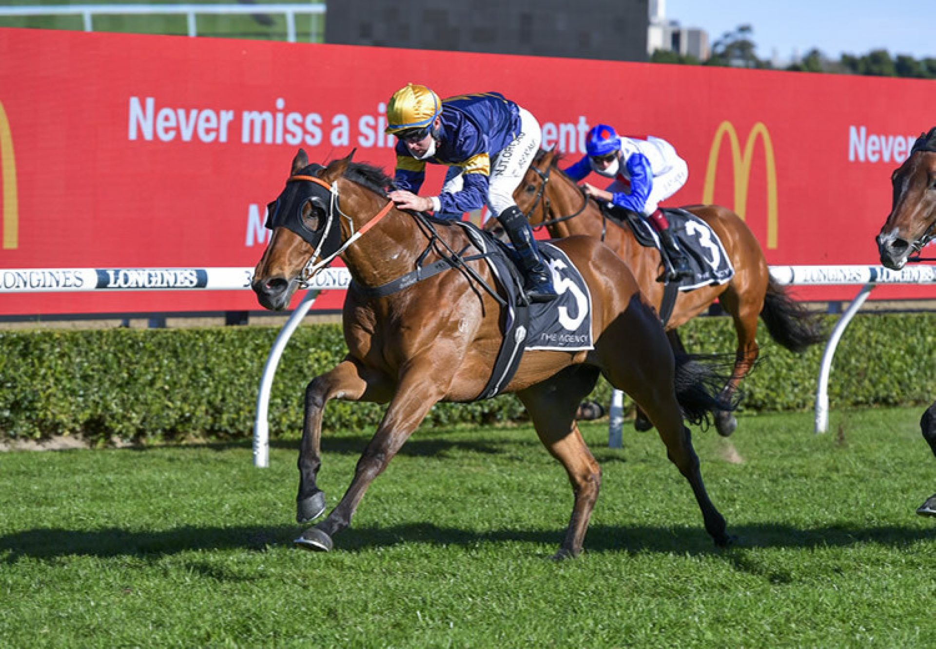 Yukon (Vancouver) winning at Sandown