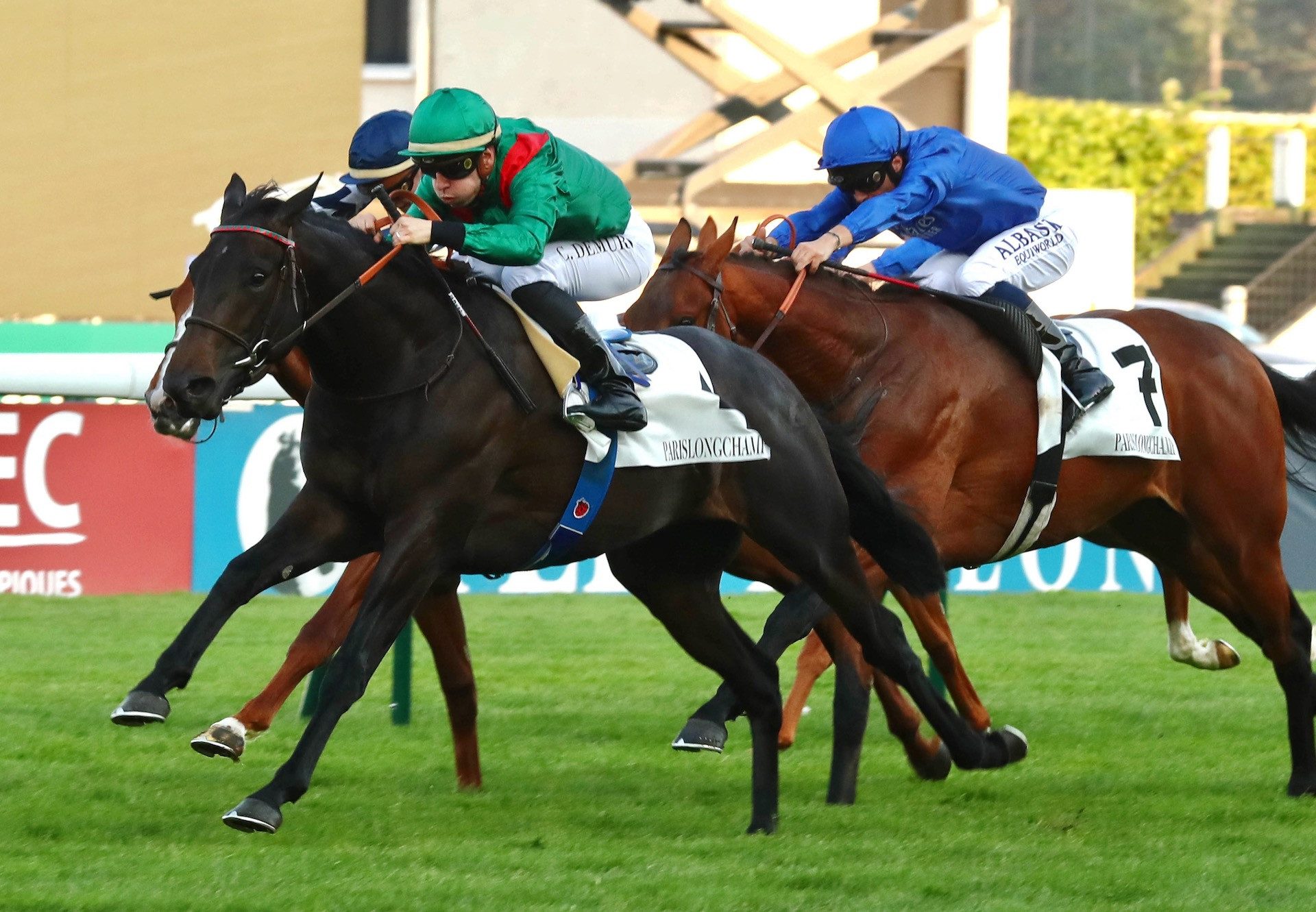 Zabiari (Wootton Bassett) Wins On Debut at ParisLongchamp