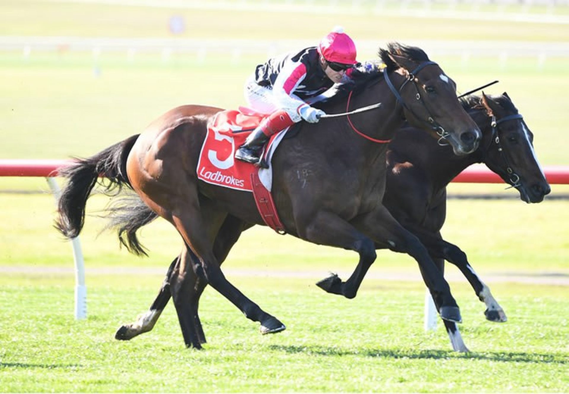 Zacouver (Vancouver) winning at Sandown