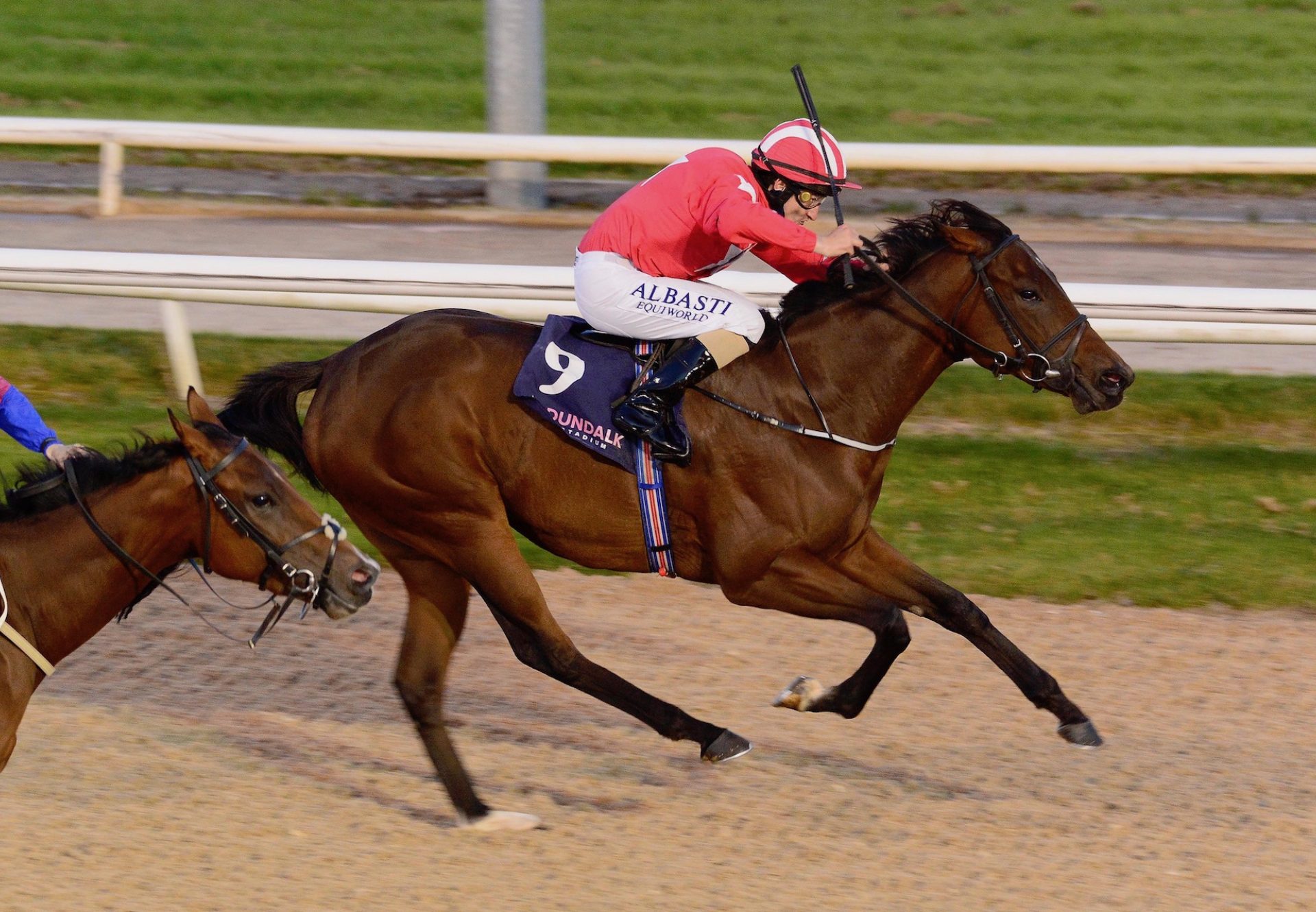 Zaffys Pride (Pride Of Dubai) Wins Her Maiden At Dundalk