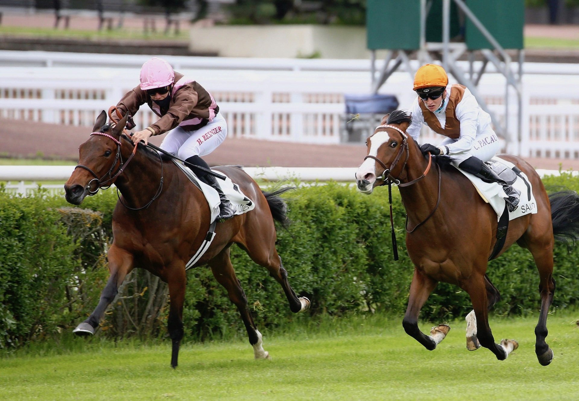 Zellie Makes A Winning Debut At Saint Cloud 1