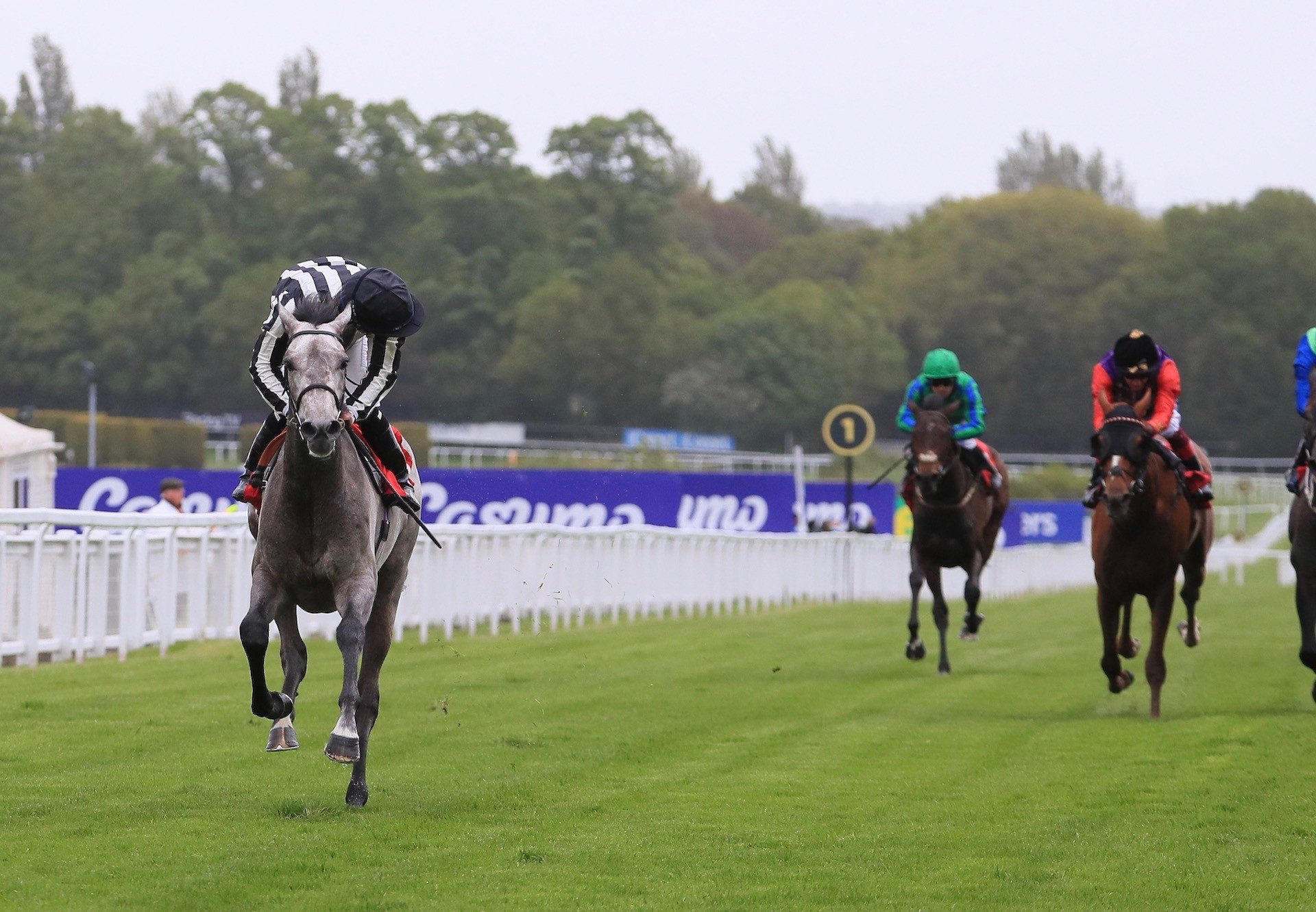 Zinc White (Vadamos) Wins Impressively At Sandown