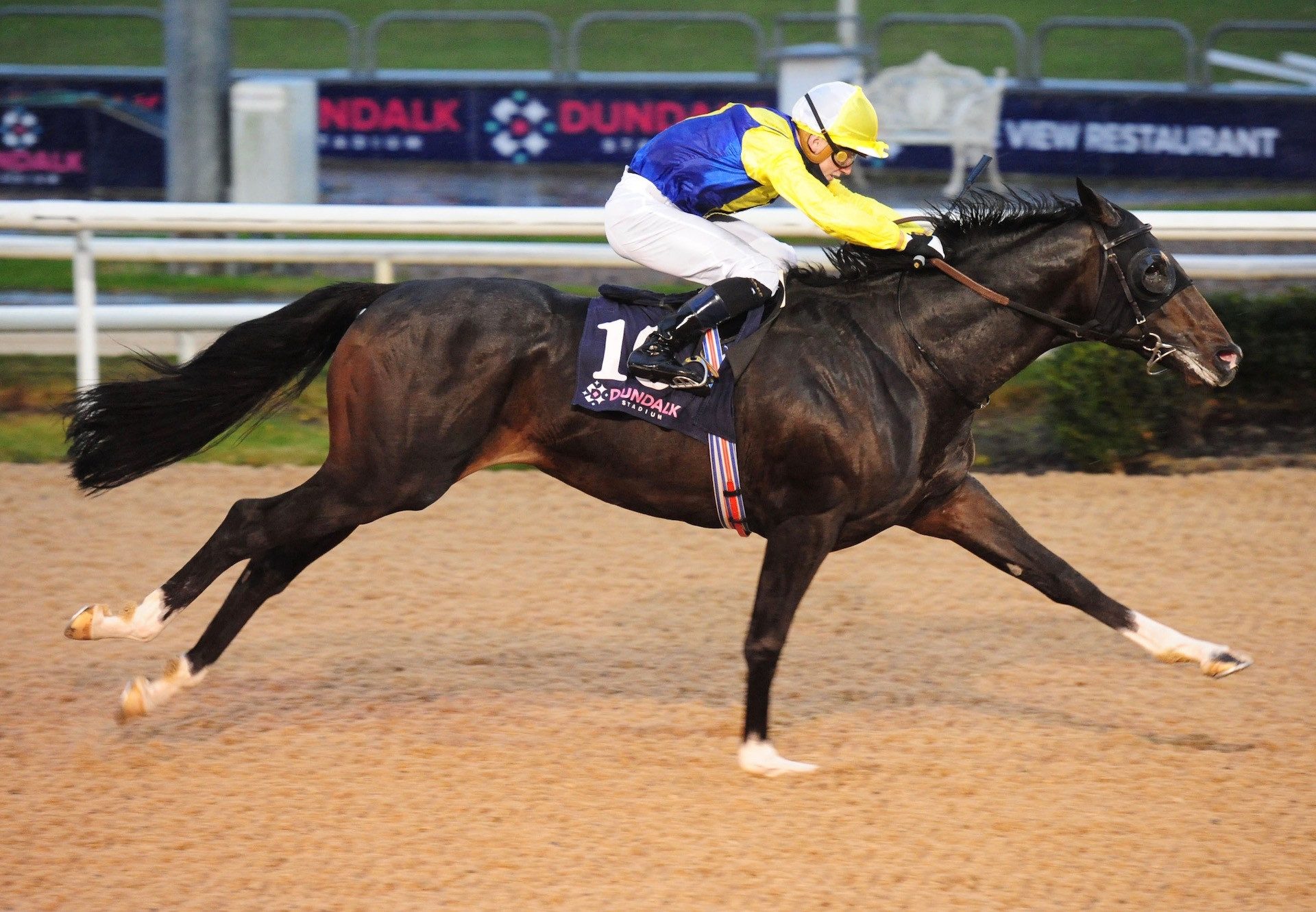 Zozimus (Footstepsinthesand) Wins His Maiden At Dundalk