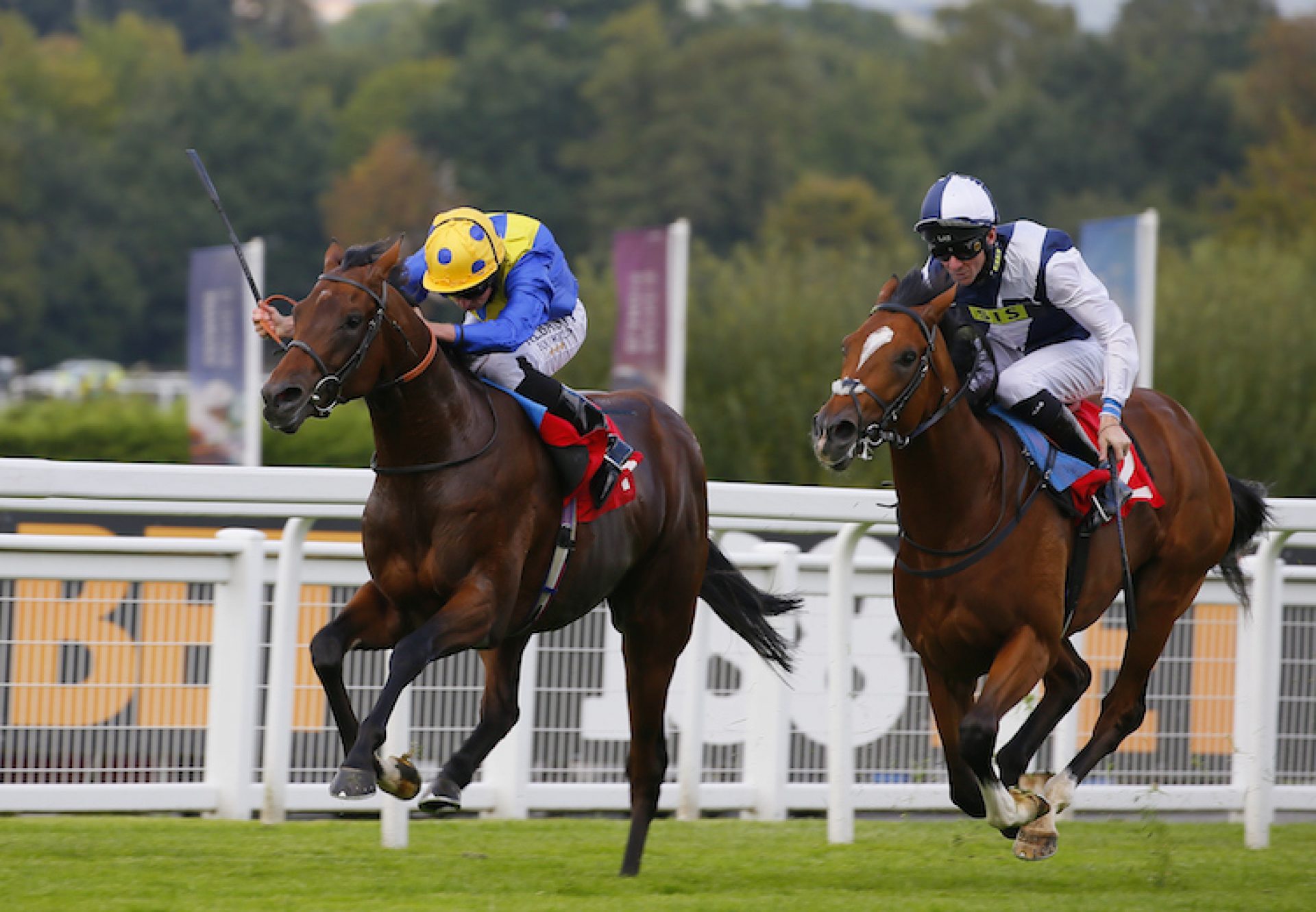 Almania (Australia) winning a maiden at Sandown