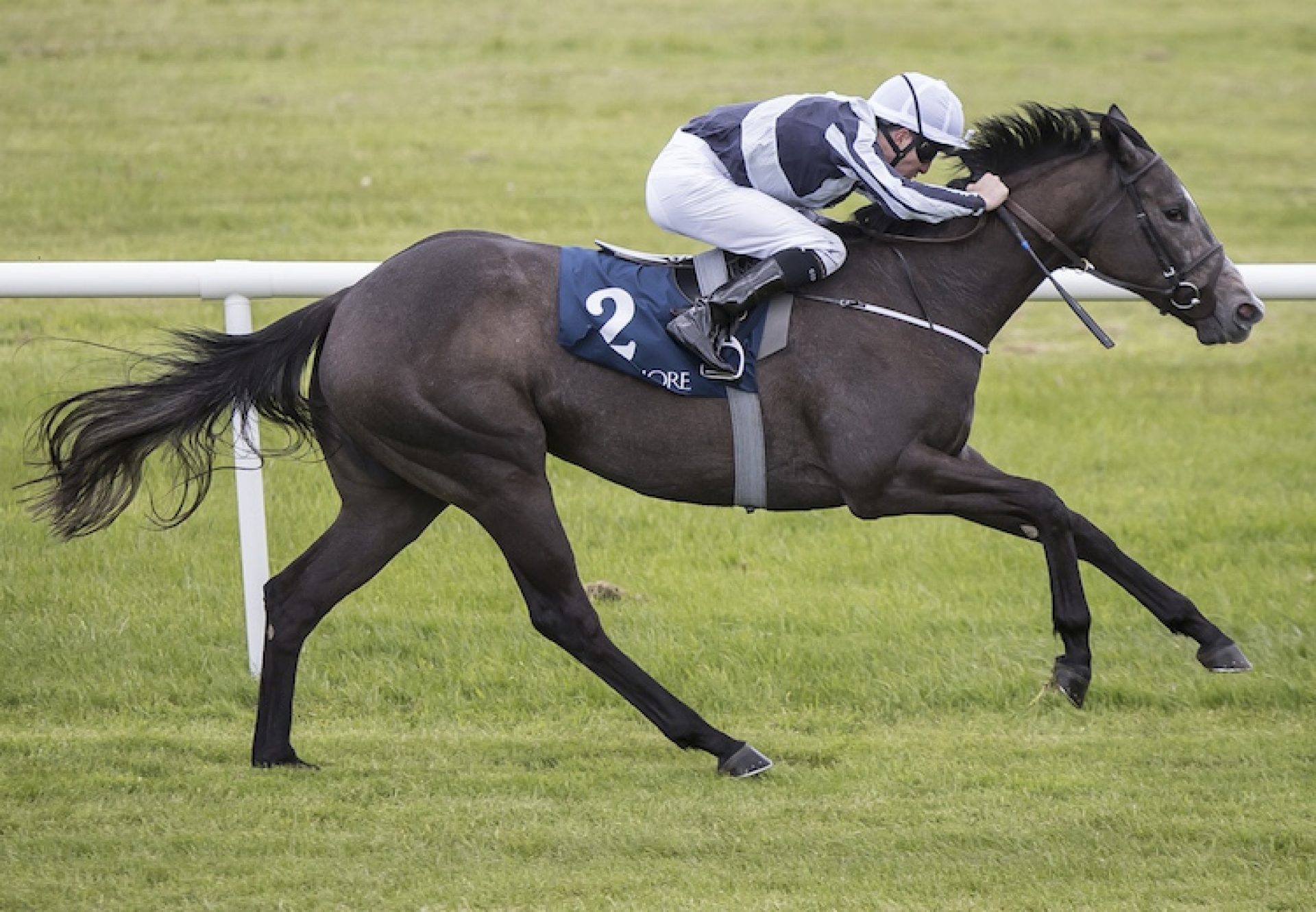 Alpha Centauri (Mastercraftsman) winning the Fillies Sprint Stakes at Naas