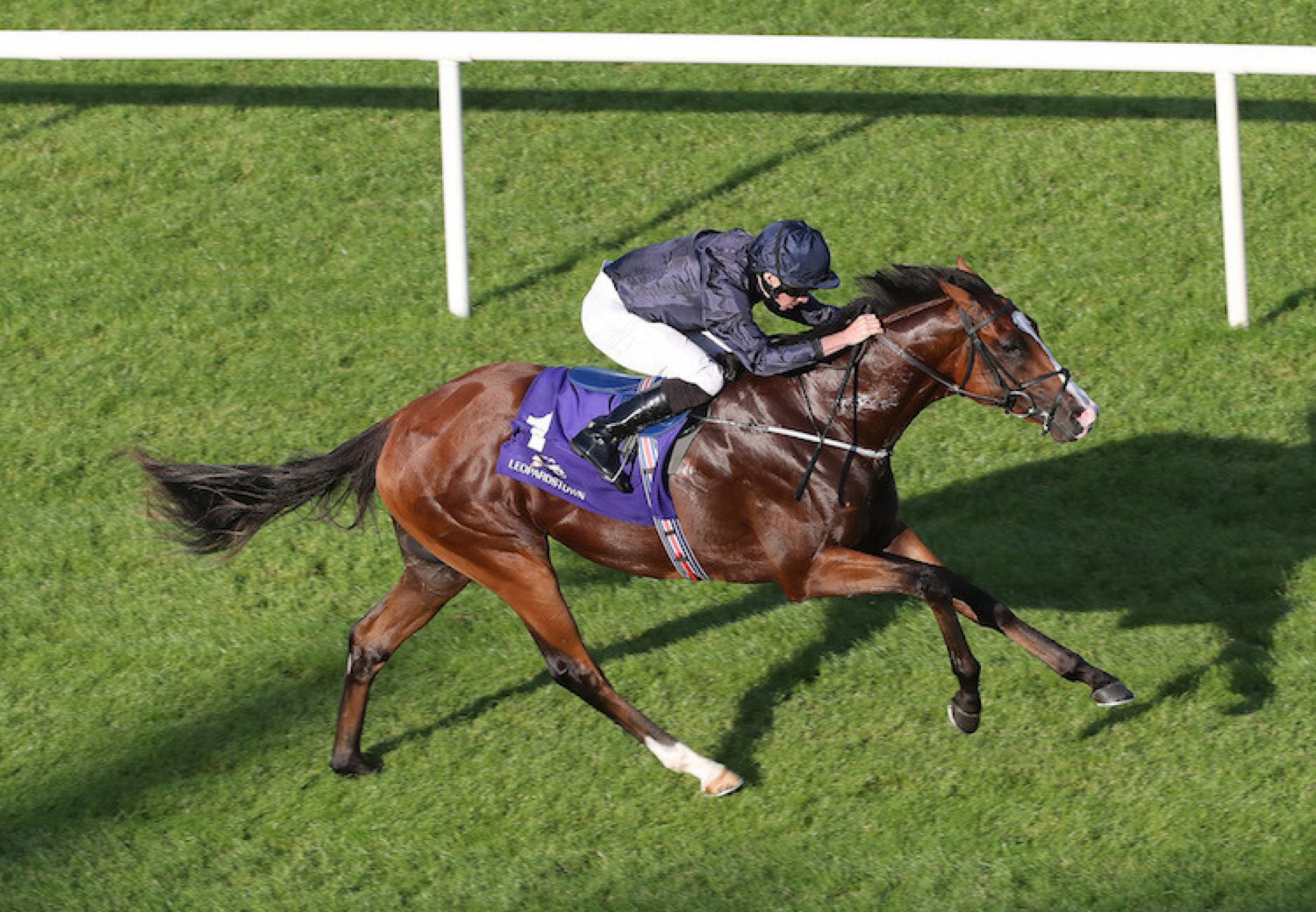 Anthony Van Dyck (Galileo) winning the G3 Tyros Stakes at Leopardstown