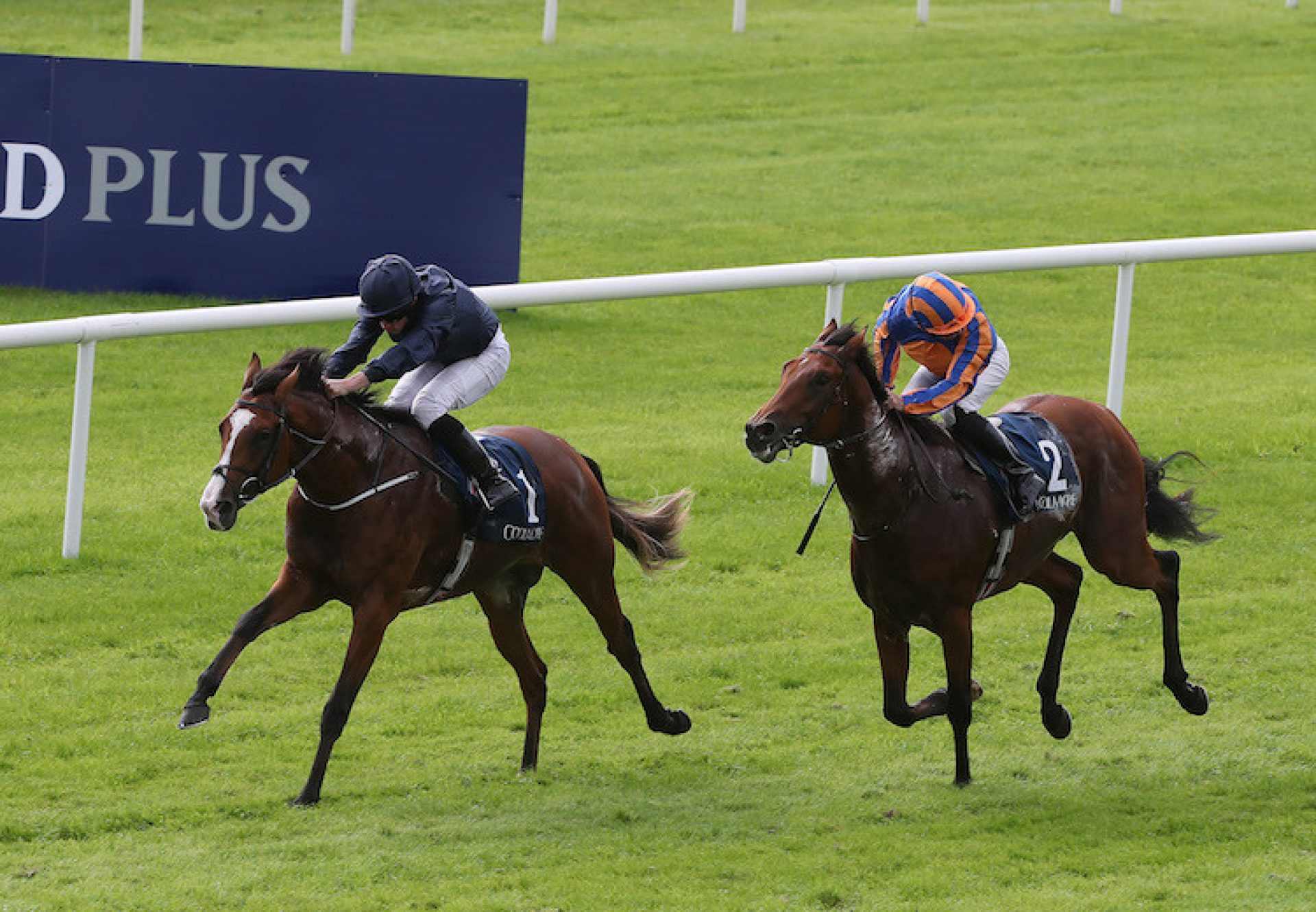 Anthony Van Dyck (Galileo) winning the G2 Futurity Stakes at the Curragh
