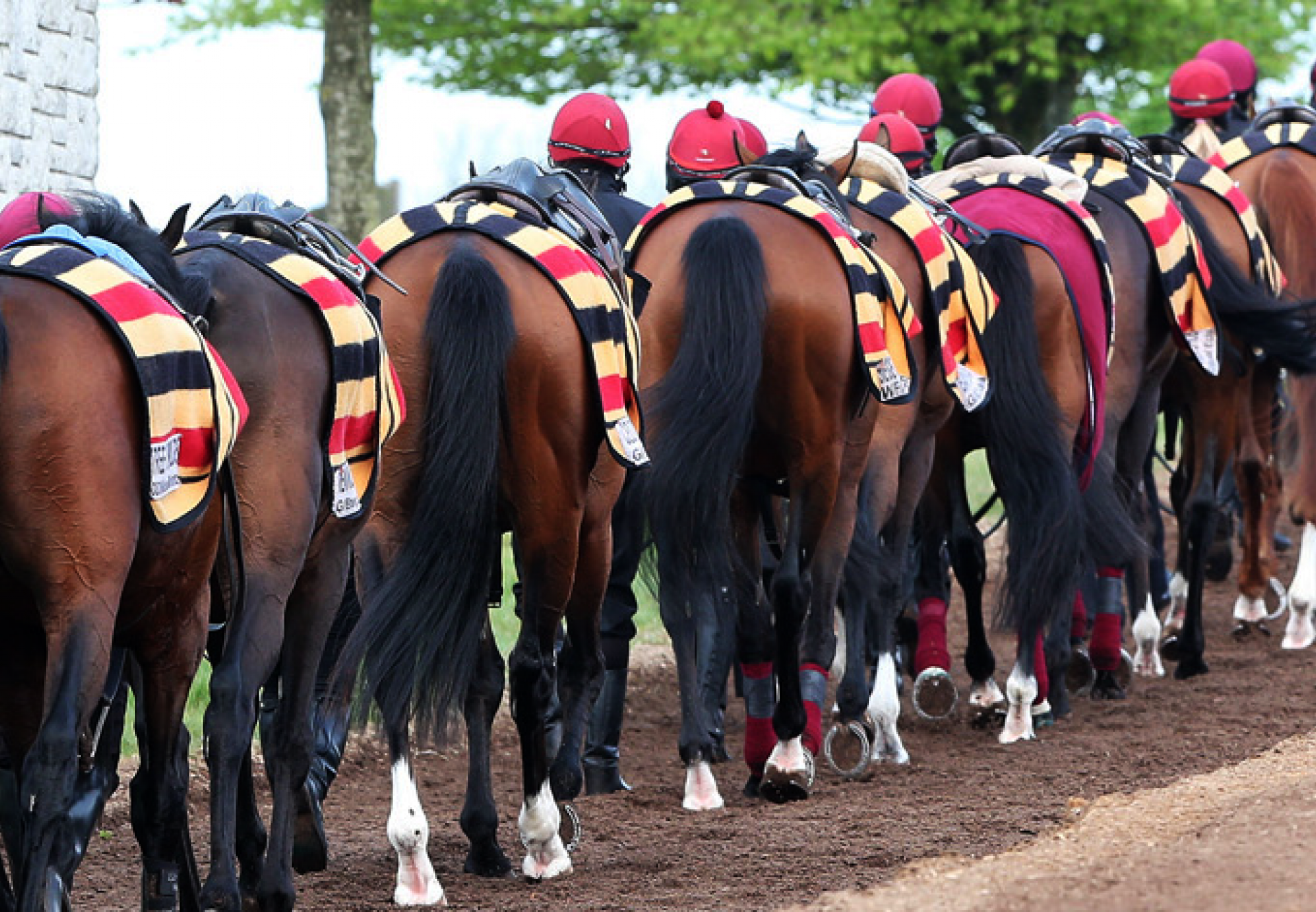 Ballydoyle Landing Page