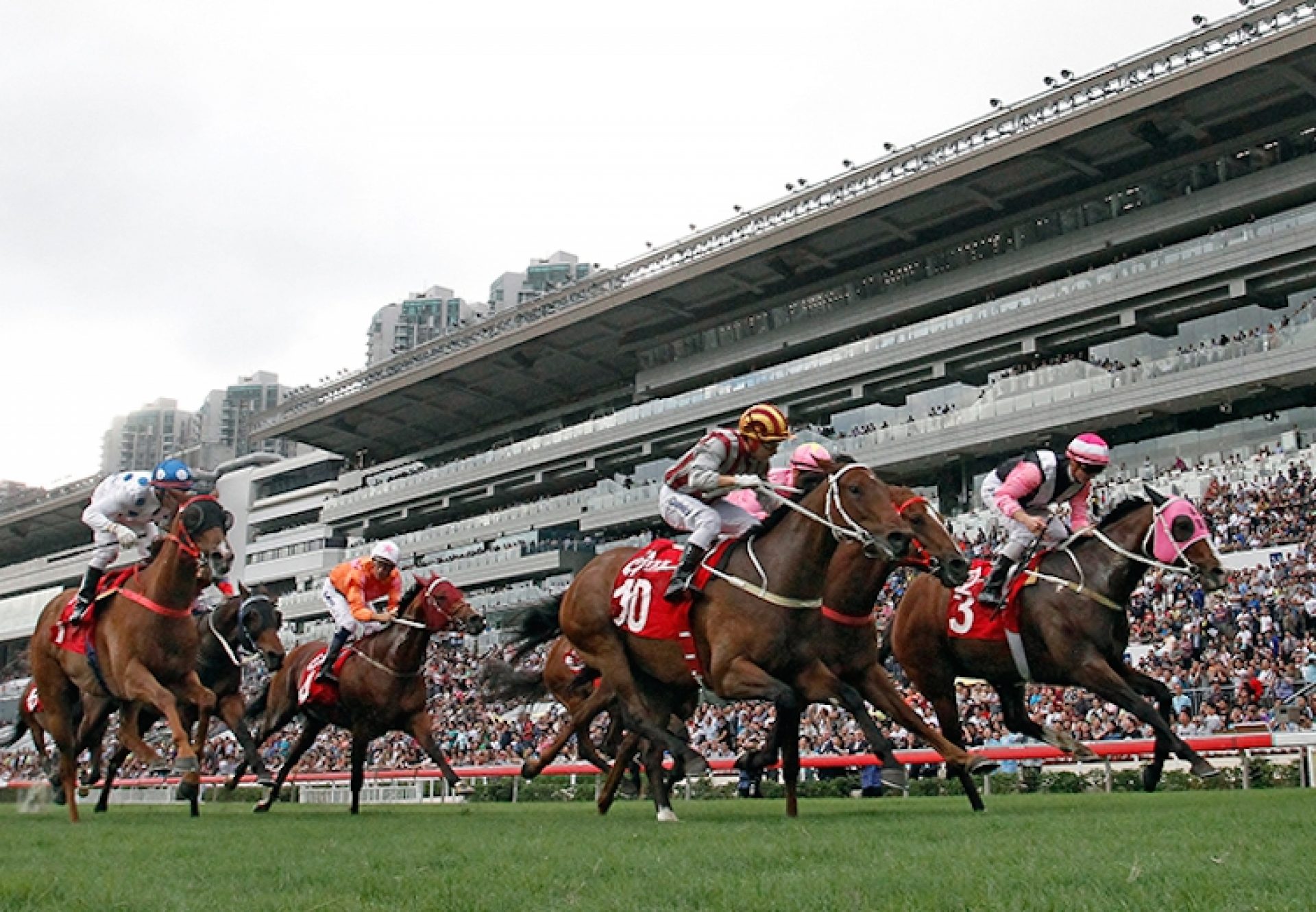 Beauty Only (Holy Roman Emperor) winning the G2 BOCHK Wealth Management Jockey Club Mile at Sha Tin