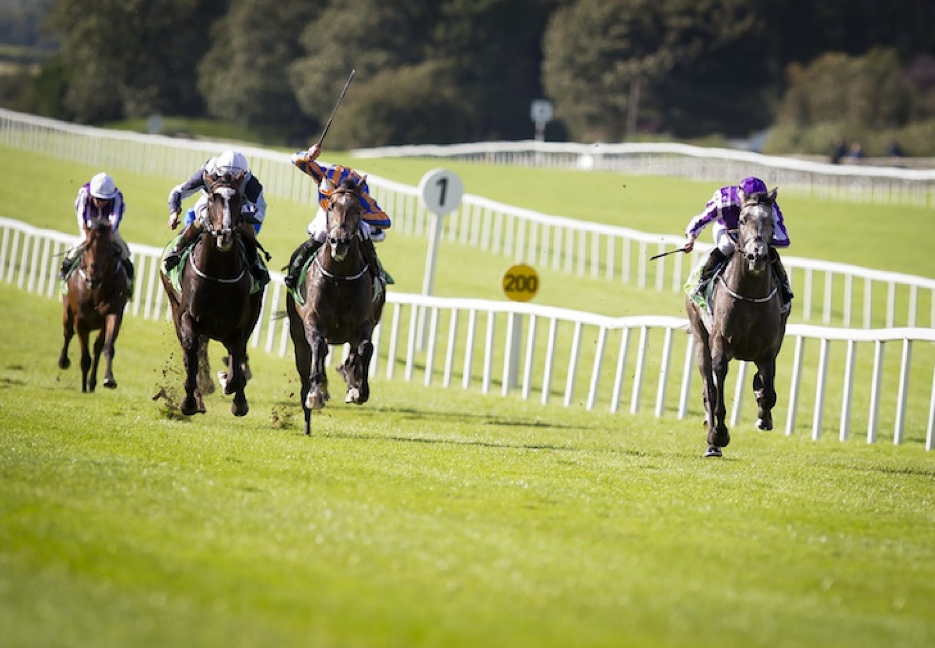 Capri winning the Gr.2 Beresford Stakes at the Curragh