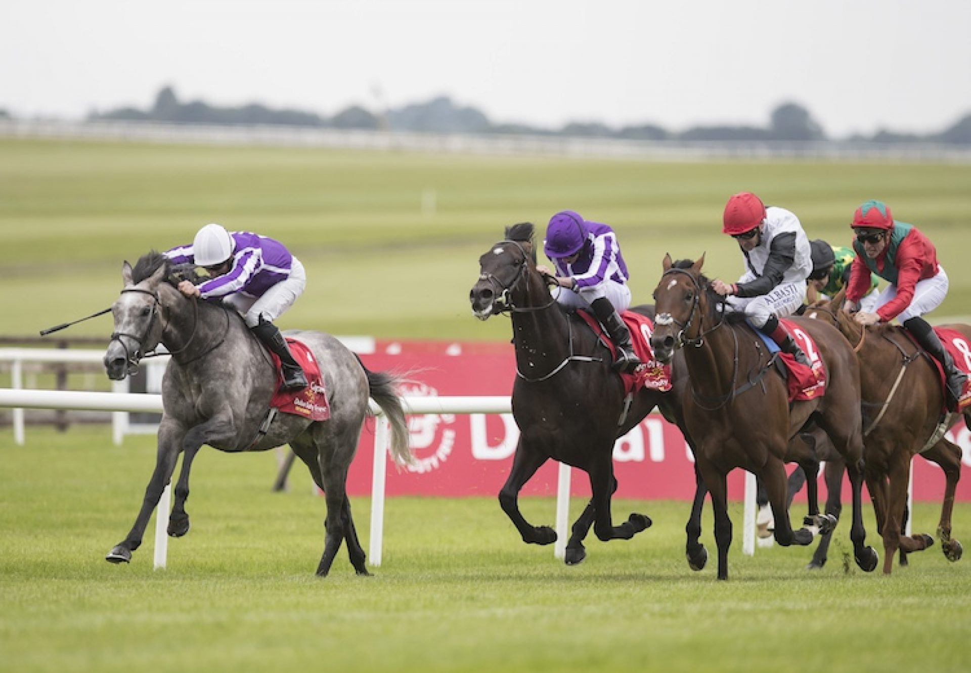 Capri winning the Gr.1 Irish Derby at the Curragh