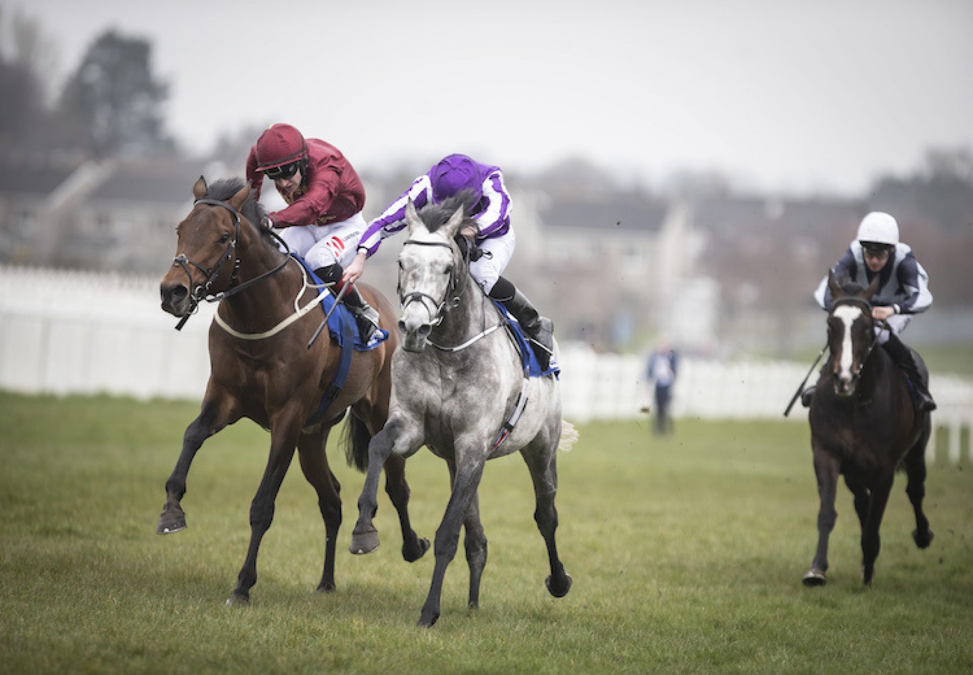 Capri (Galileo) winning the G3 Alleged Stakes at Naas