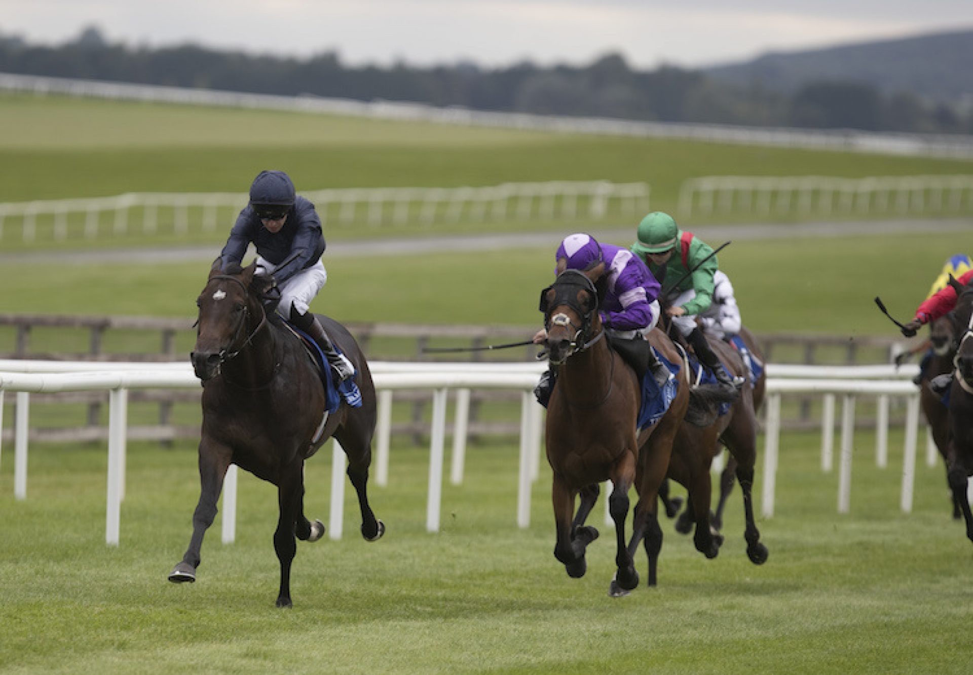 Cardini (Magician) winning a nursery at the Curragh