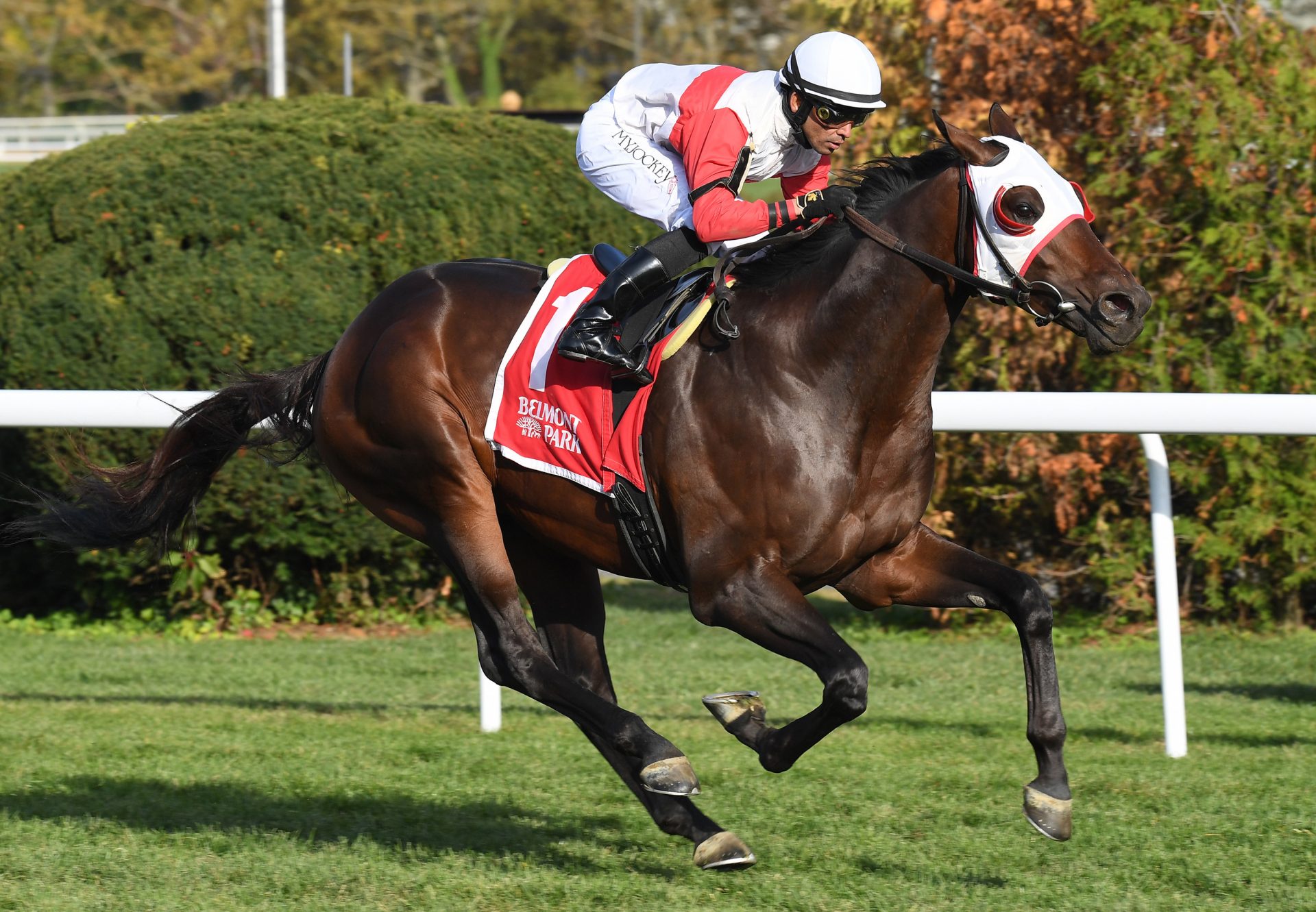 Celestial City (Uncle Mo) Wins Gr.2 Hill Prince Stakes at Belmont @Aqueduct