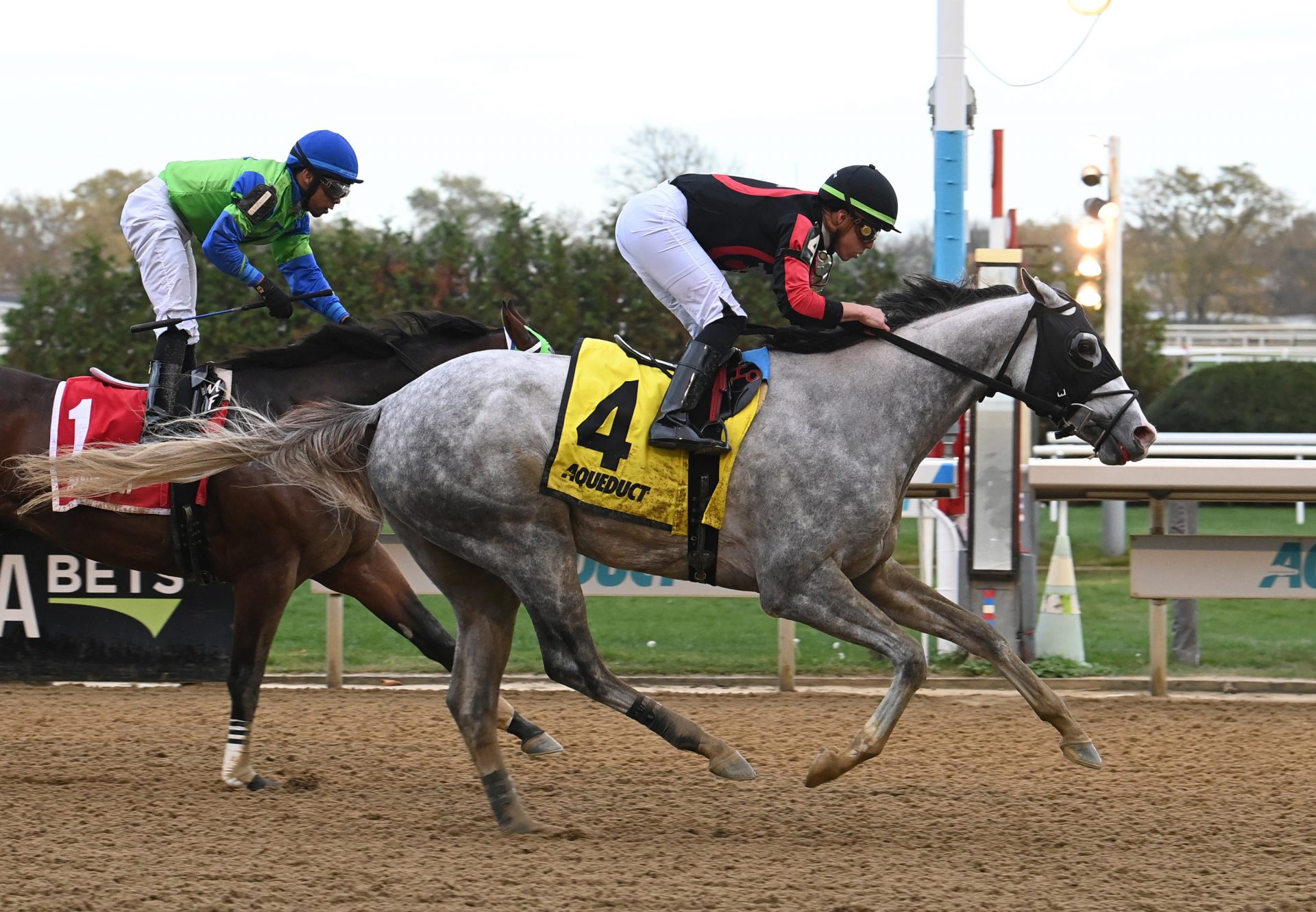 Champions Dream (Justify) Wins Gr.3 Nashua Stakes at Aqueduct