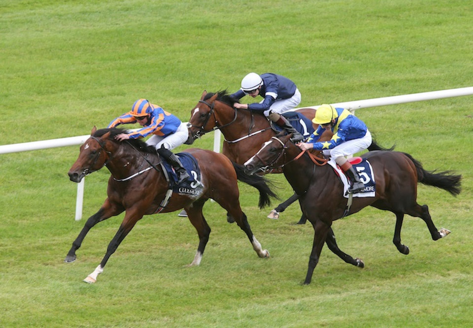 Churchill (Galileo) winning the G3 Tyros Stakes at Leopardstown