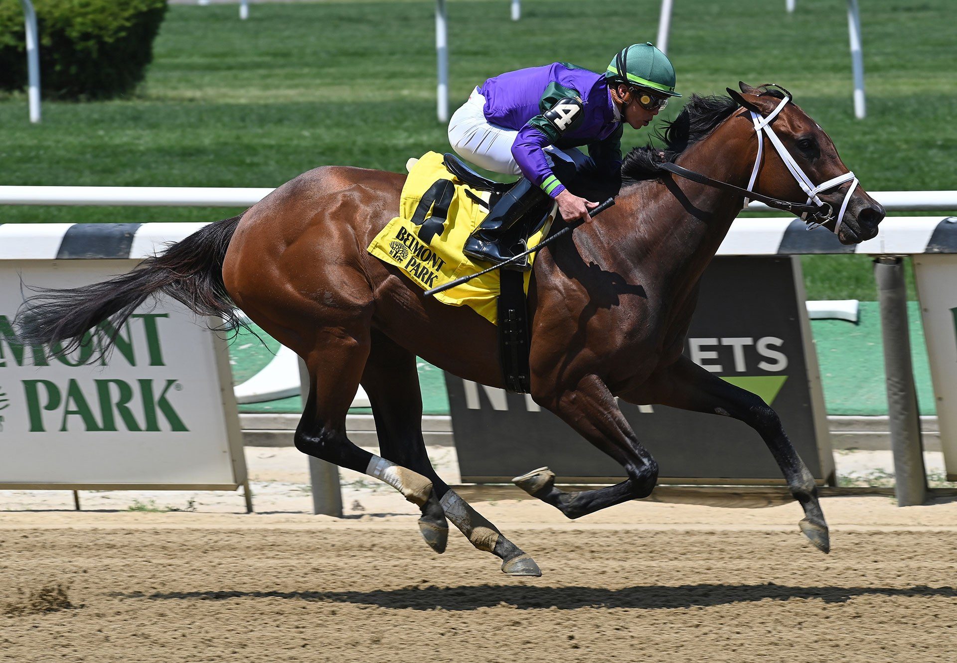 Classy Edition (Classic Empire) Wins Critical Eye Stakes at Belmont Park