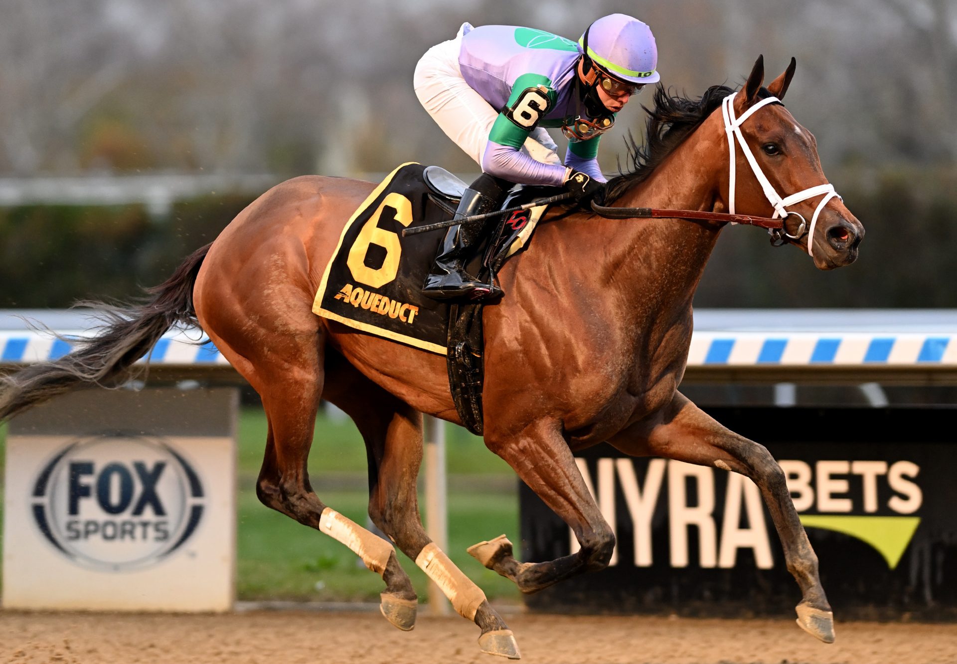 Classy Edition (Classic Empire) winning the Key Cents Stakes at Aqueduct