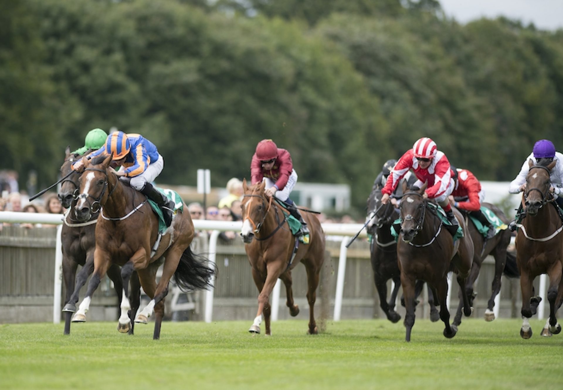 Clemmie (Galileo) winning the Duchess of Cambridge at Royal Ascot