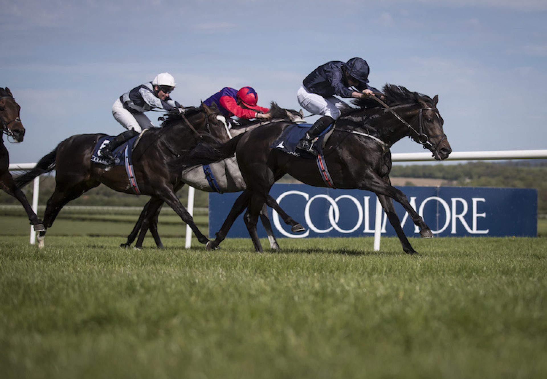 Cliffs Of Moher (Galileo) winning the G2 Morresbridge Stakes at Naas