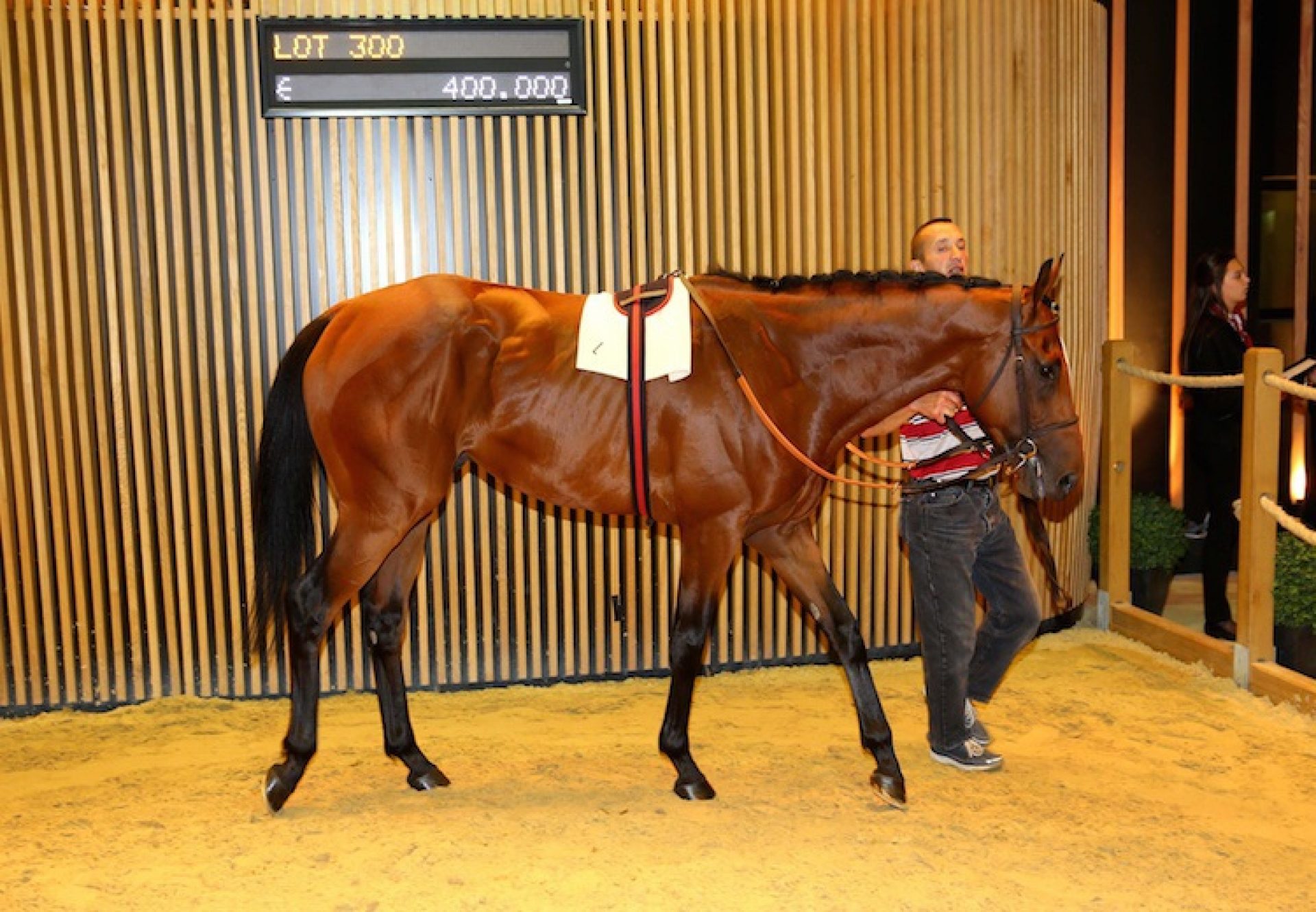 Dance Of Life (Mastercraftsman) selling for €400,000 at the Arqana Summer Sale
