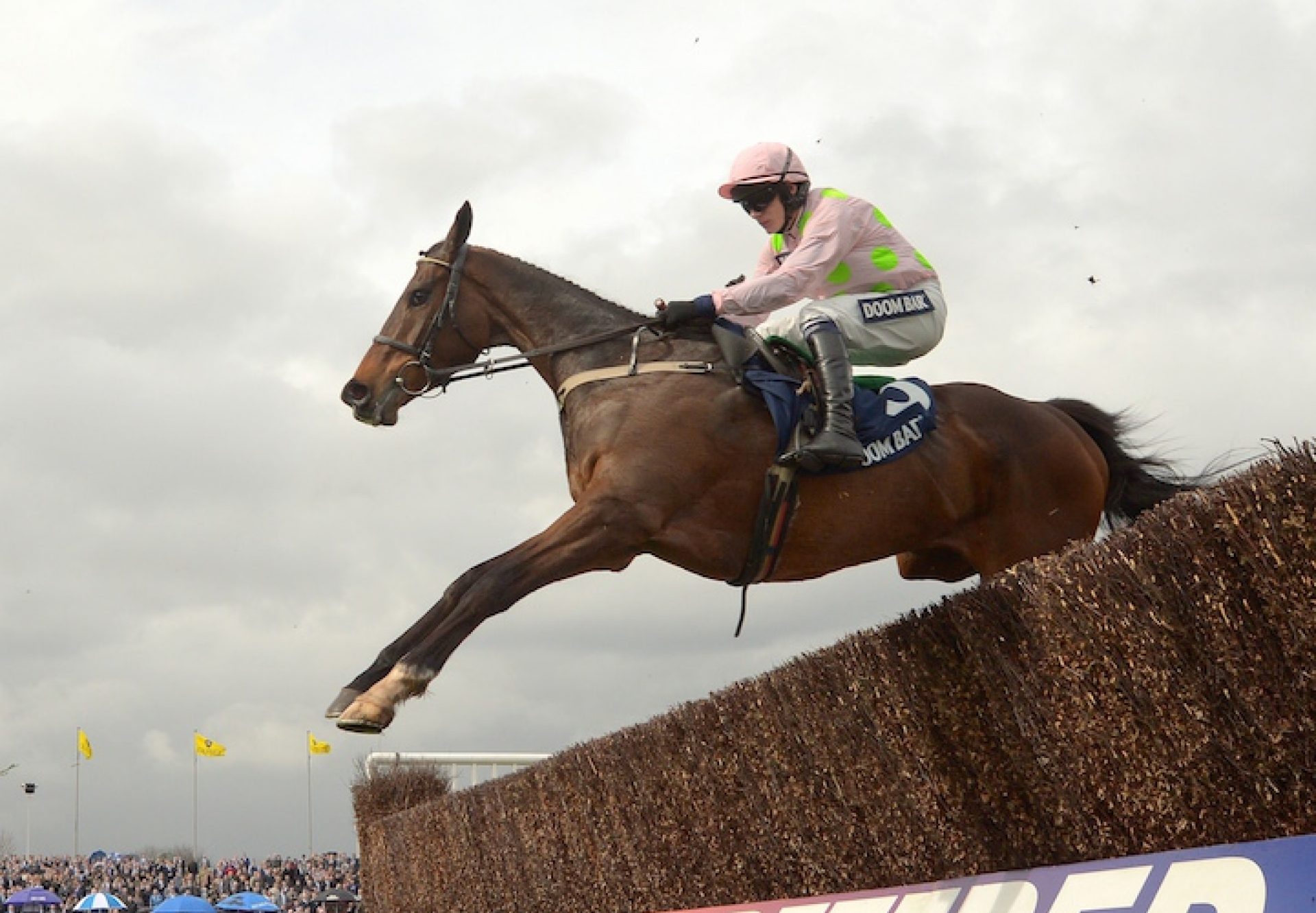 Douvan (Walk In The Park) winning at Aintree