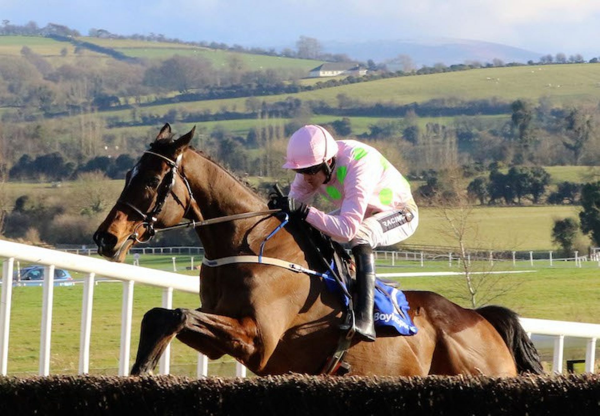 Douvan (Walk In The Park) winning the Tied Cottage