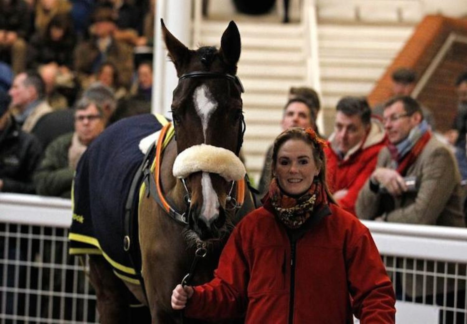 Downtown Getaway (Getaway) selling for £350,000 at Cheltenham Sales