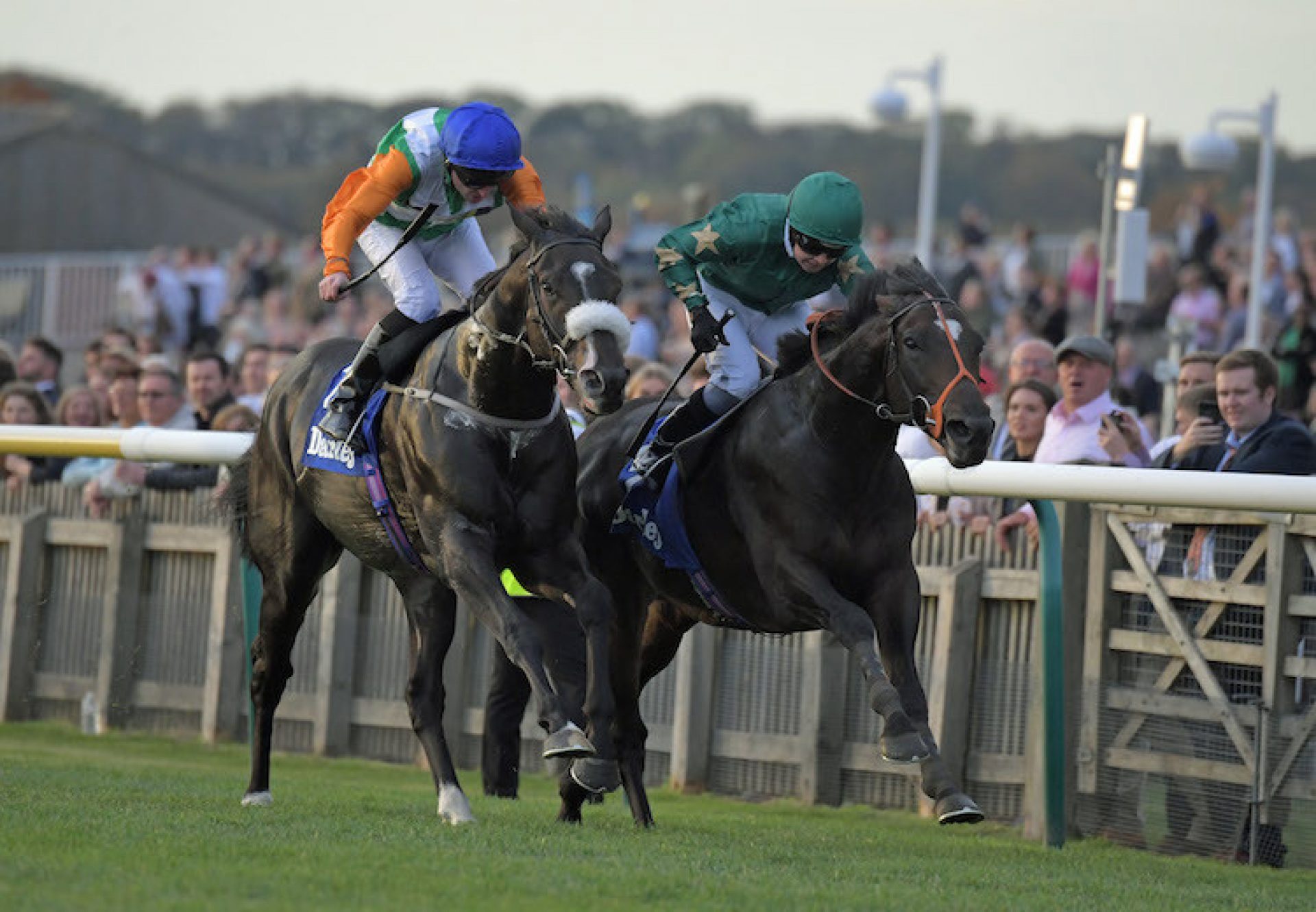 Euginio (Fastnet Rock) winning the G3 Darley Stakes at Newmarket