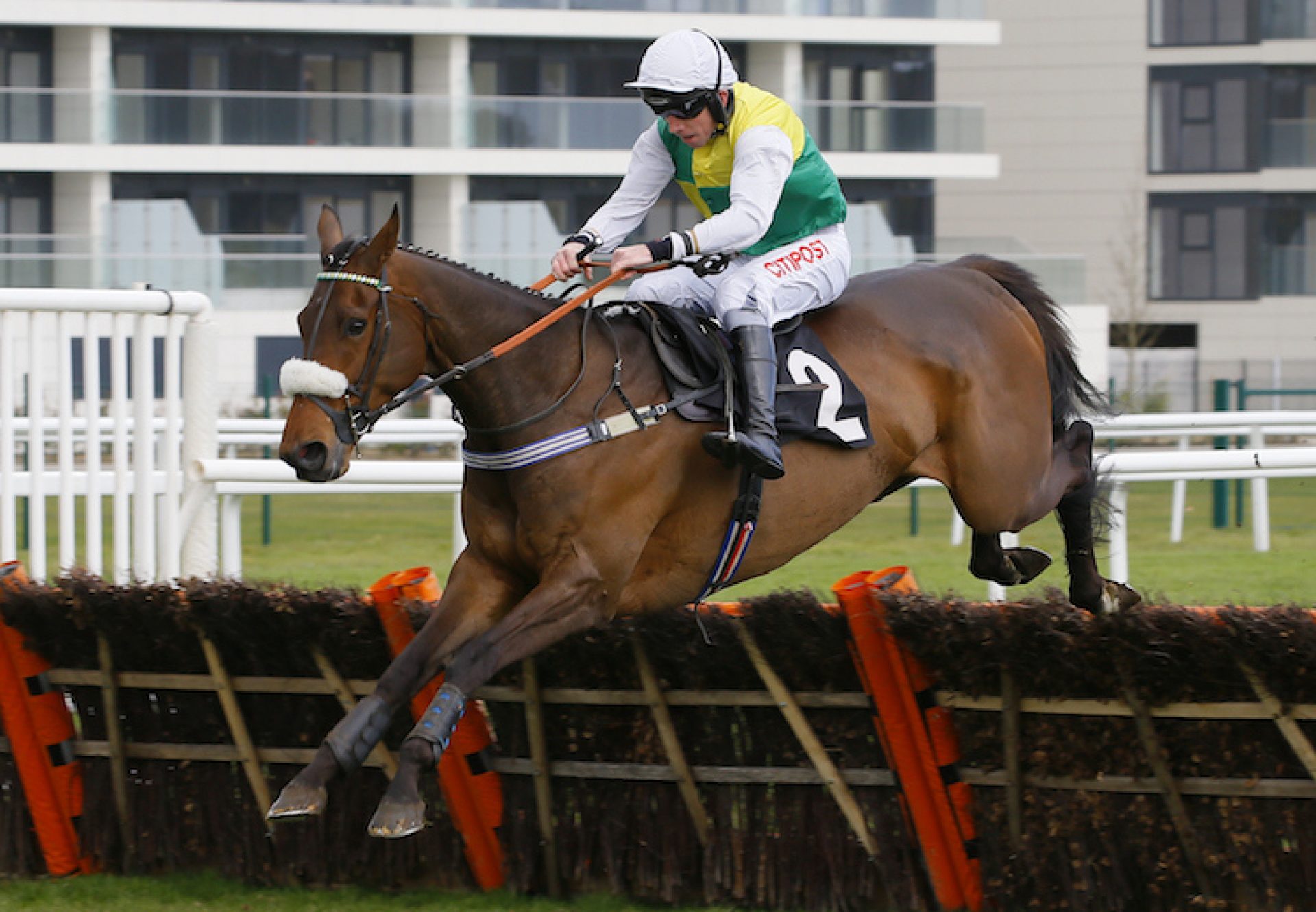 Euxton Lane (Getaway) winning a hurdle race at Newbury