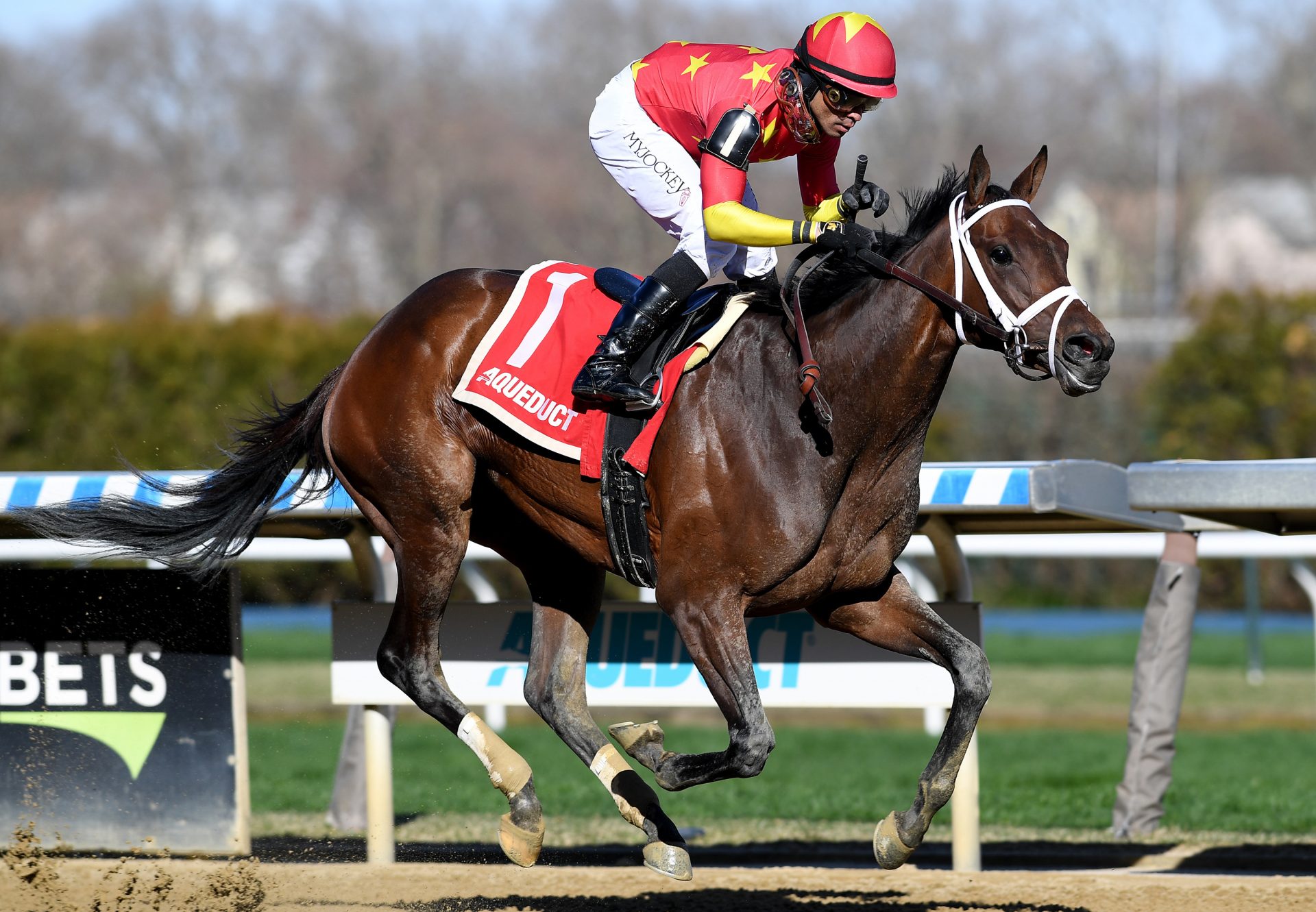 Falconet (Uncle Mo) Wins Top Flight Stakes a Aqueduct