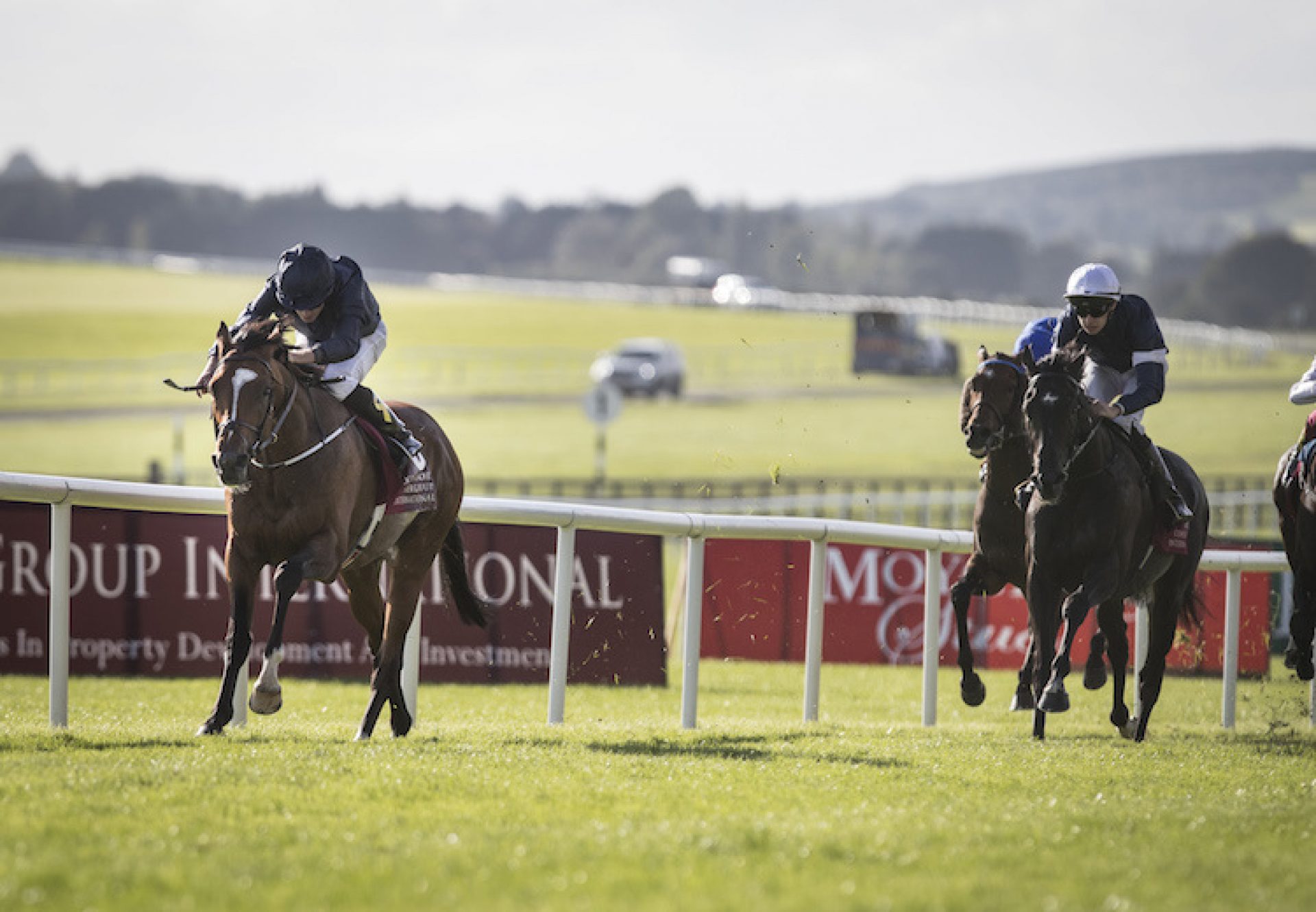 Flag Of Honour (Galileo) winning the G1 St Leger at the Curragh