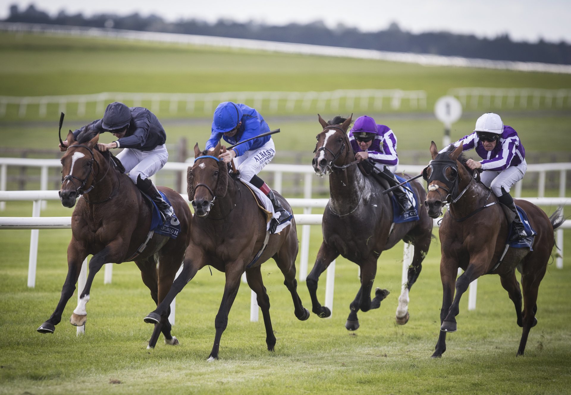 Flag Of Honour (Galileo) winning the G3 St Leger Trial at the Curragh