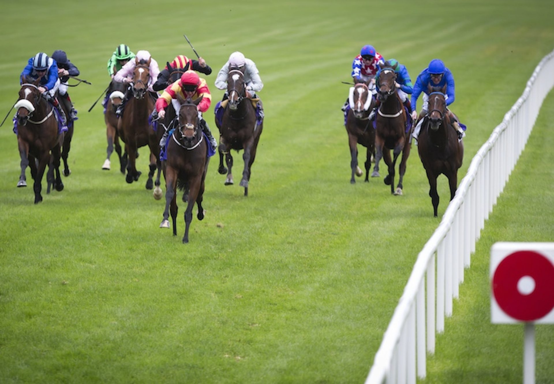 Flying Fairies (Holy Roman Emperor) winning the Listed Trigo Stakes at Leopardstown