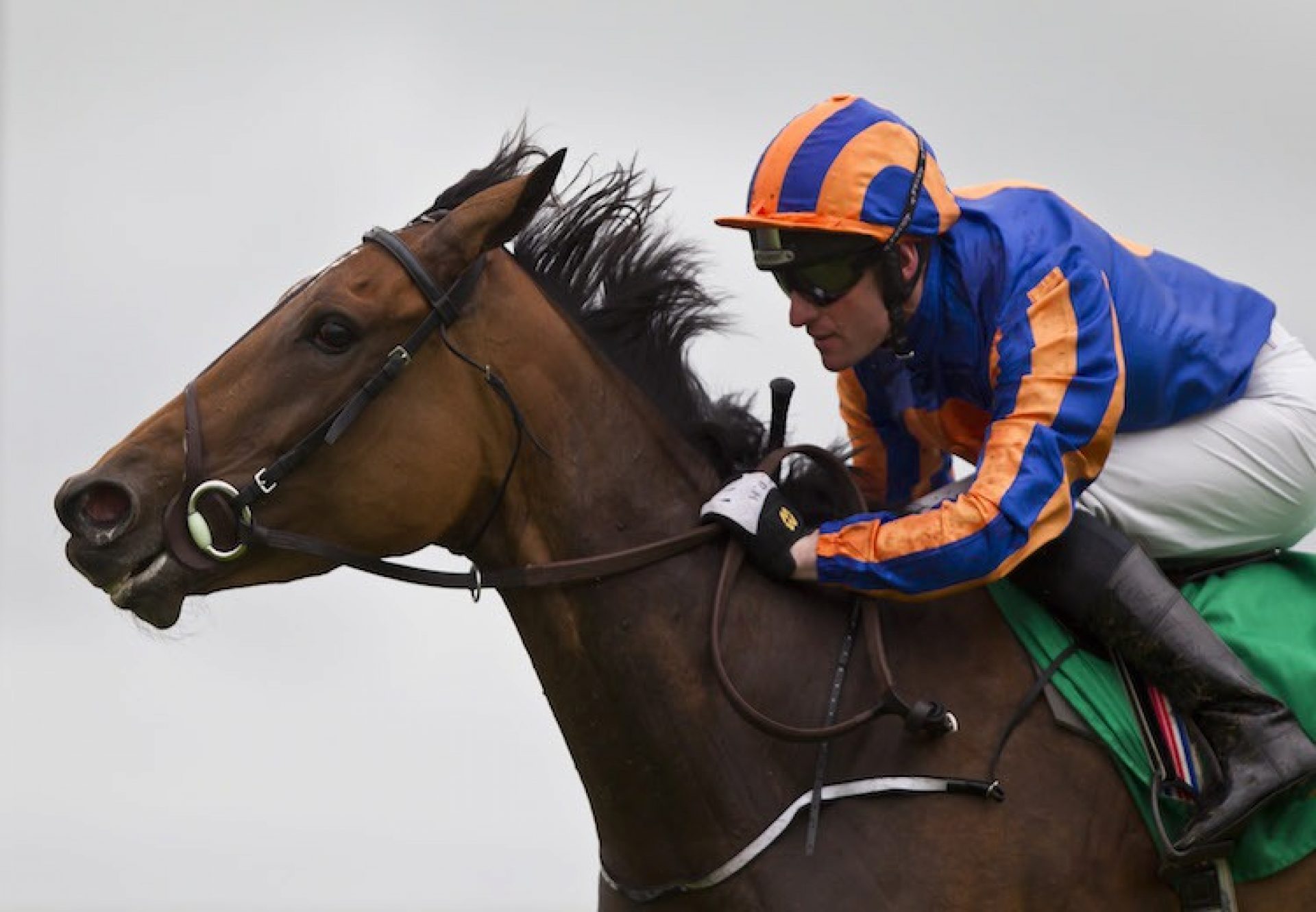 Found (Galileo) winning the G3 Kilfrush Stud Royal Whip Stakes at the Curragh