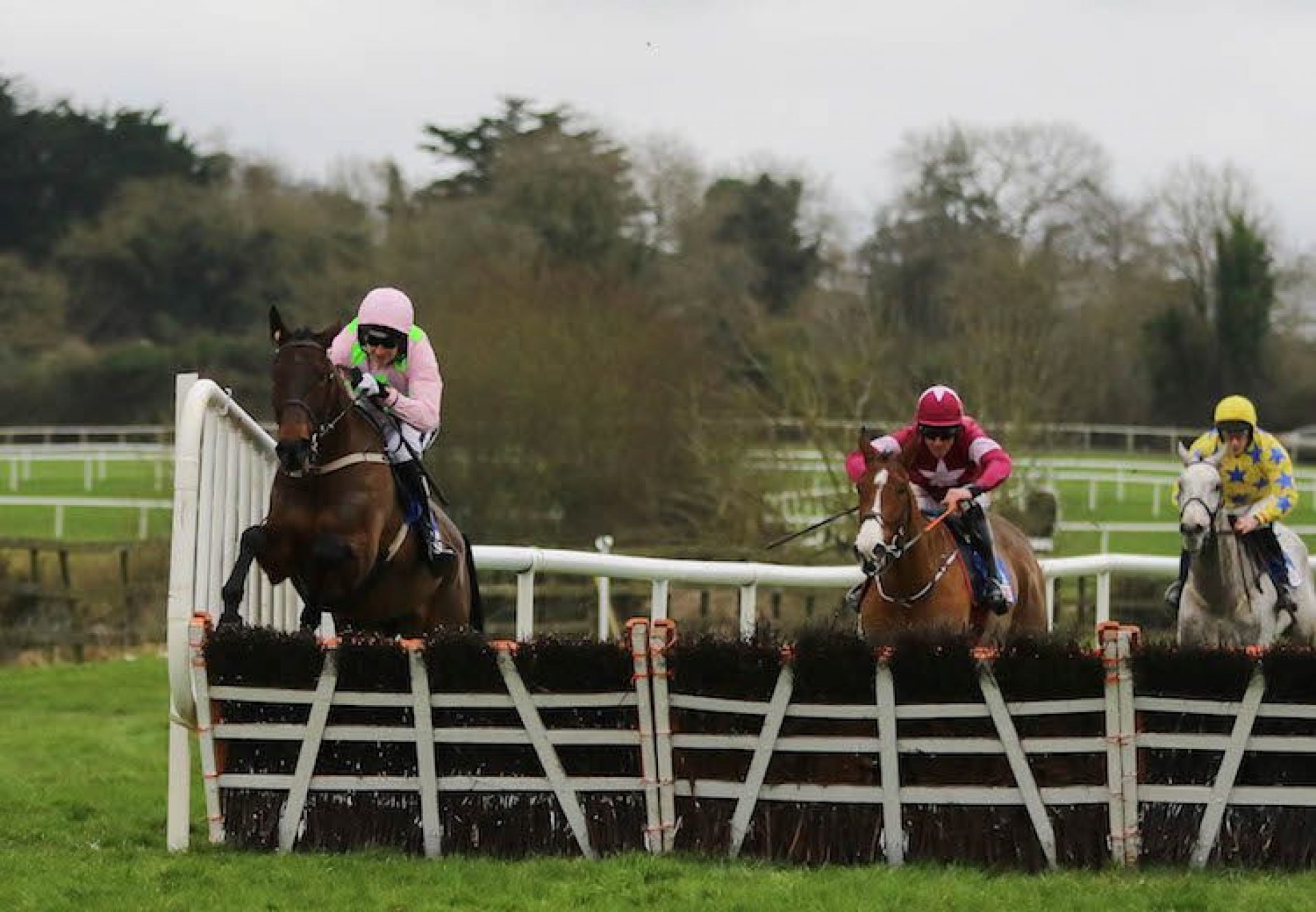Getabird (Getaway) winning the G2 Moscow Flyer Novice Hurdle at Punchestown