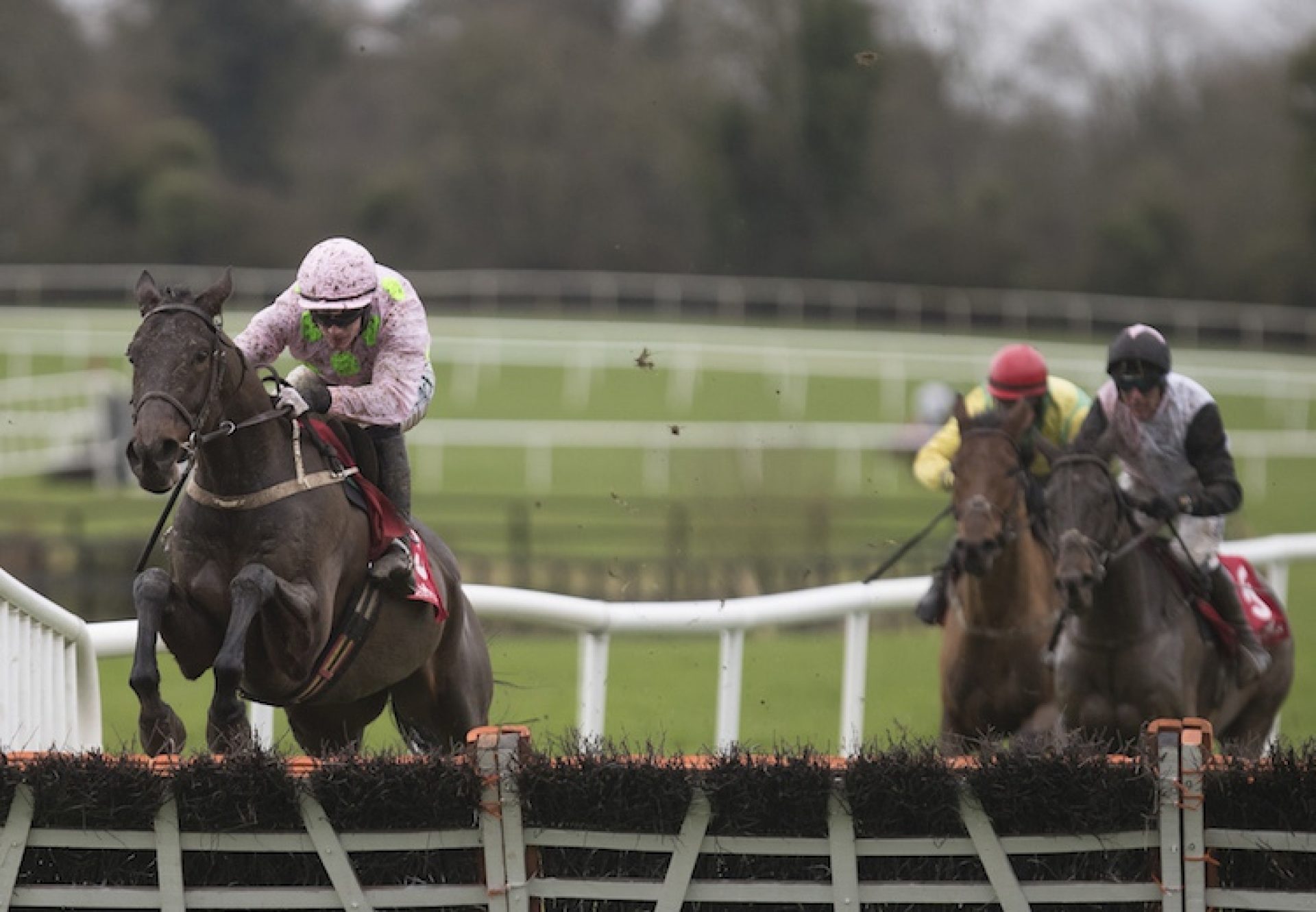 Getabird (Getaway) winning a maiden hurdle at Punchestown