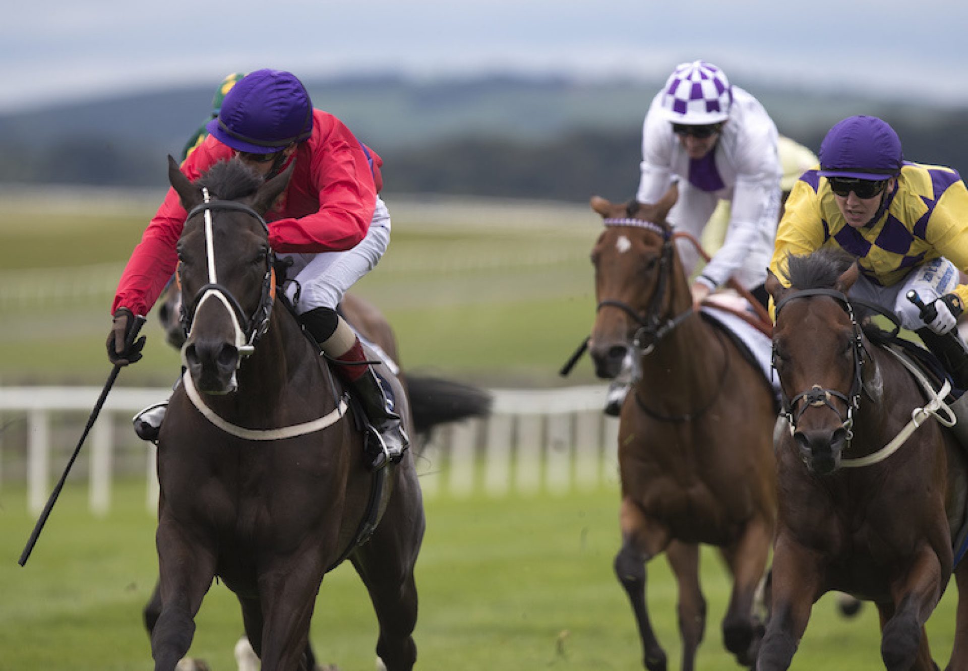 Hammersmith (No Nay Never) winning a nursery at the Curragh