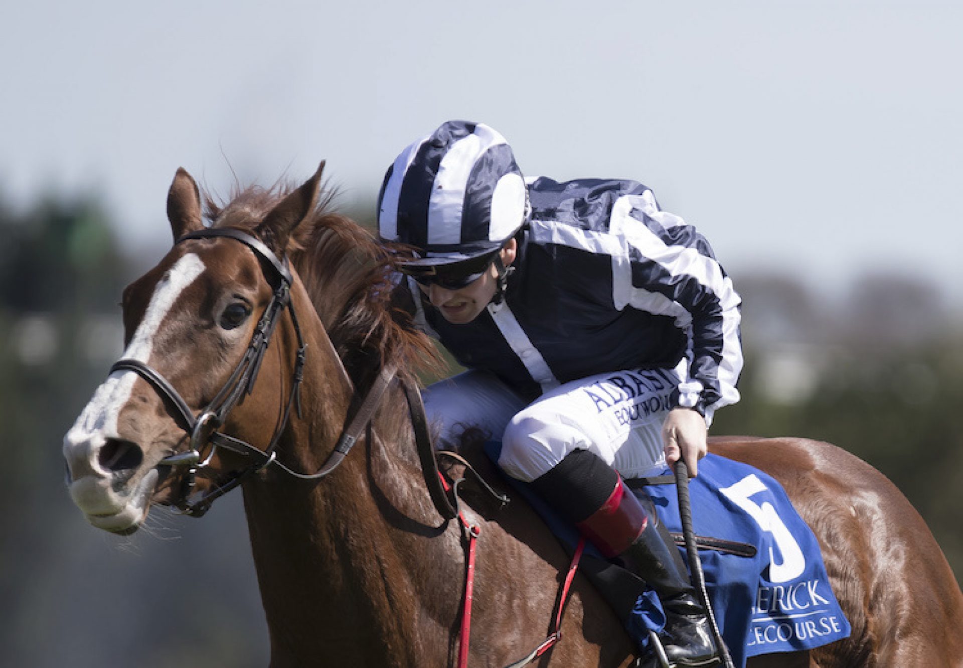 Hand On Heart (Mastercraftsman) winning a maiden at Limerick