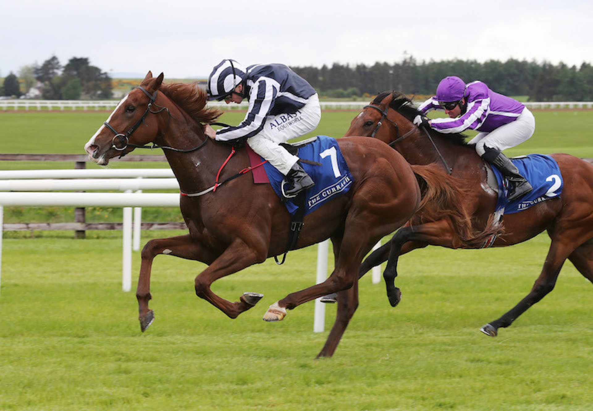 Hand On Heart (Mastercraftsman) winning at the Curragh