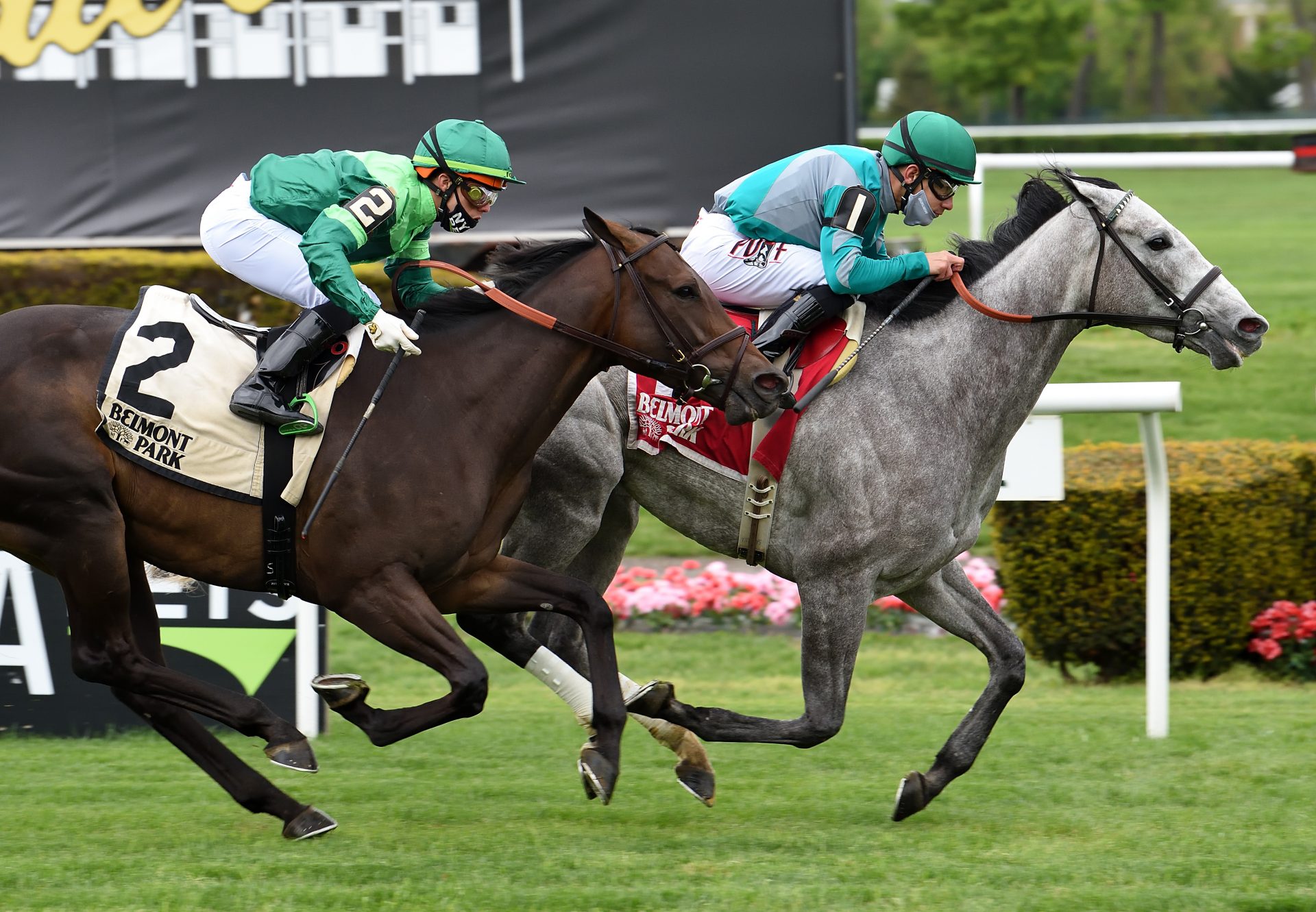 Harveys Lil Goil (American Pharoah) Gr.3 Beaugay Stakes at Belmont