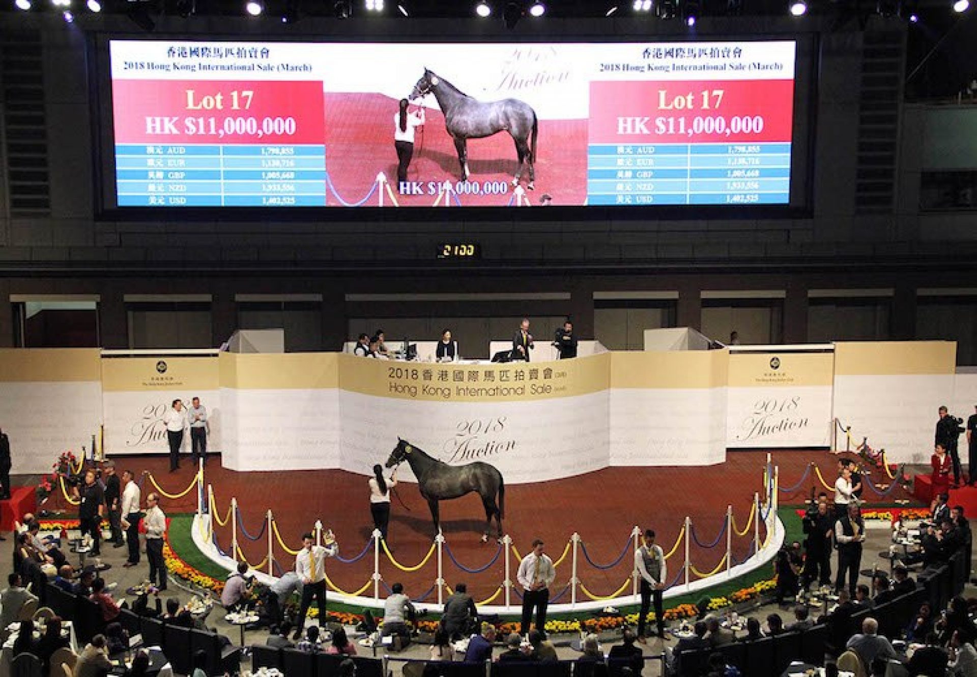 Holy Roman Emperor ex Ysoldina gelding selling for KH $11 million