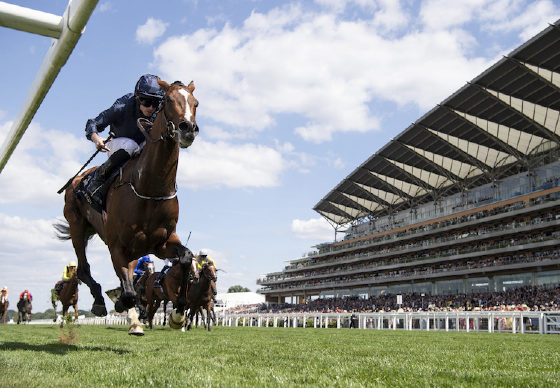 Image result for hunting horn royal ascot