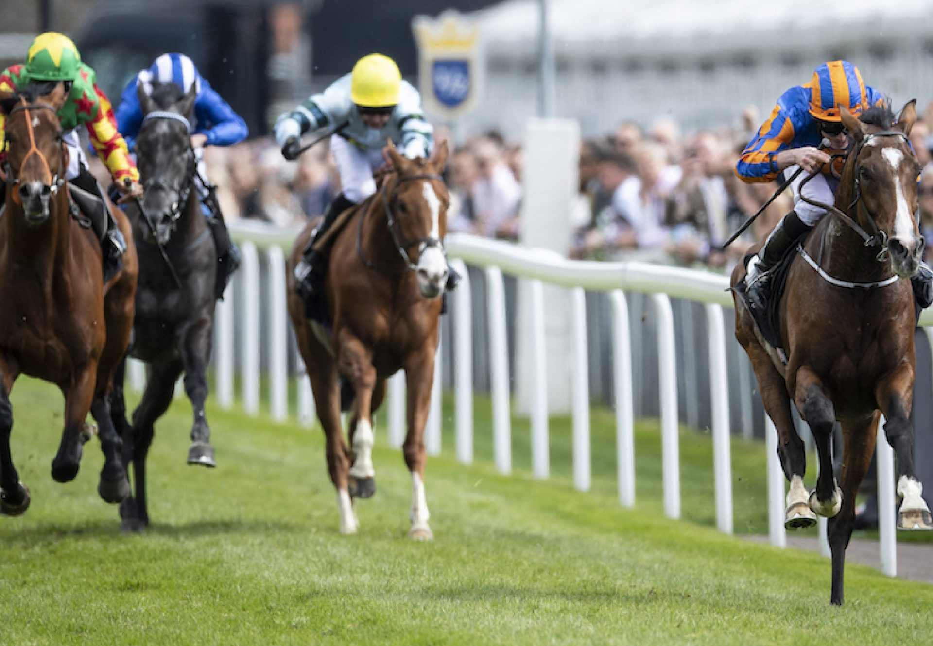 Idaho (Galileo) winning the G3 Ormonde Stakes at Chester