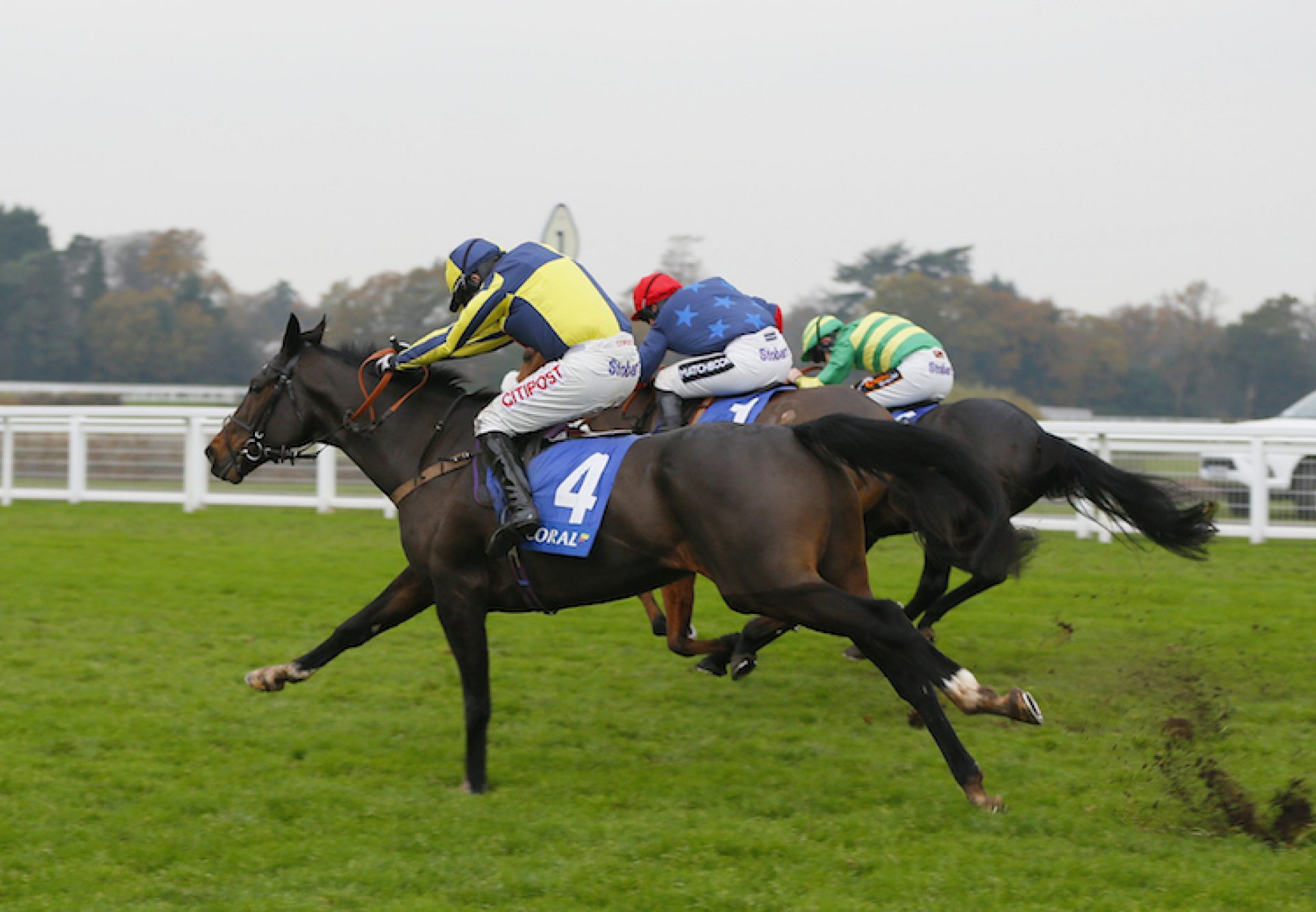 If The Cap Fits (Milan) winning the G2 Coral Hurdle at Ascot