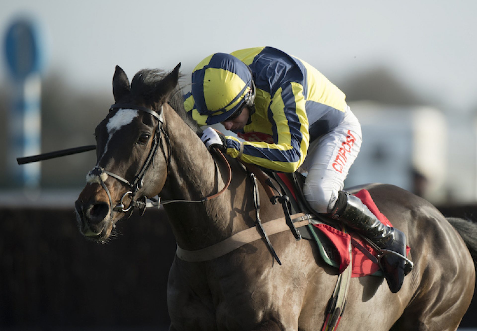 If The Cap Fits (Milan) winning over hurdles at Kempton