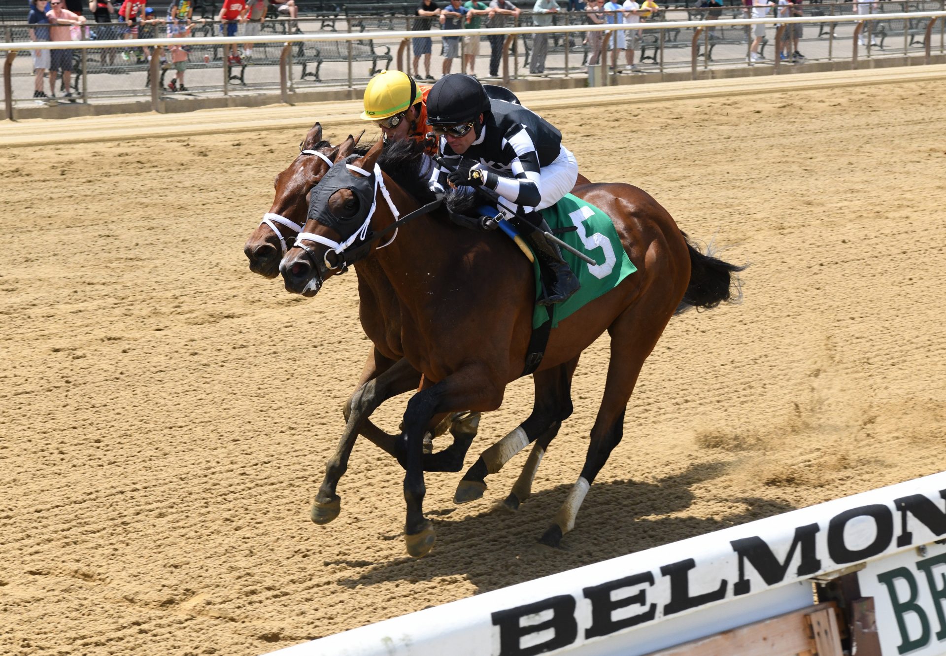 Interstatedaydream (Classic Empire) winning at Belmont Park