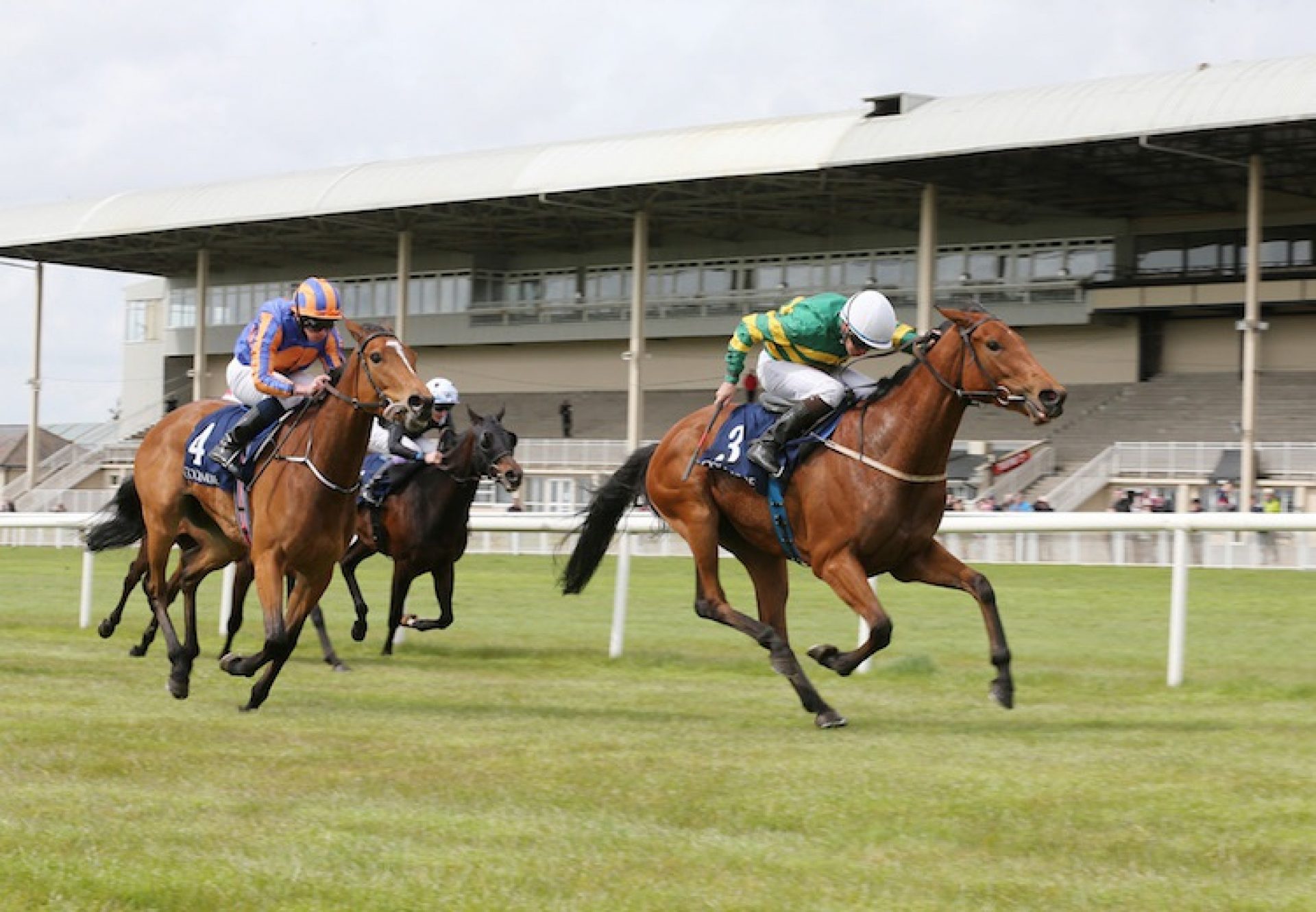 Iveagh Gardens (Mastercraftsman) winning the G3 Athasi Stakes at the Curragh