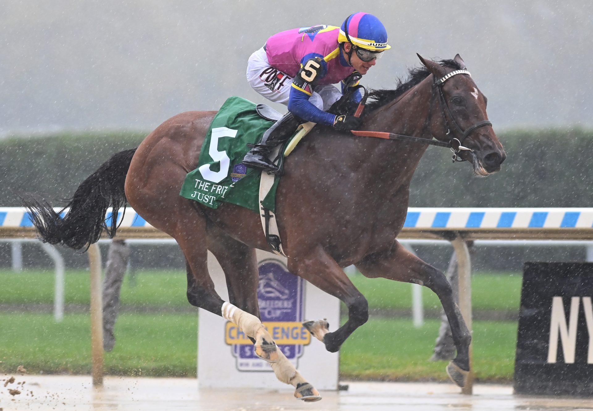 Just F Y I (Justify) Wins Gr.1 Frizette Stakes at Belmont