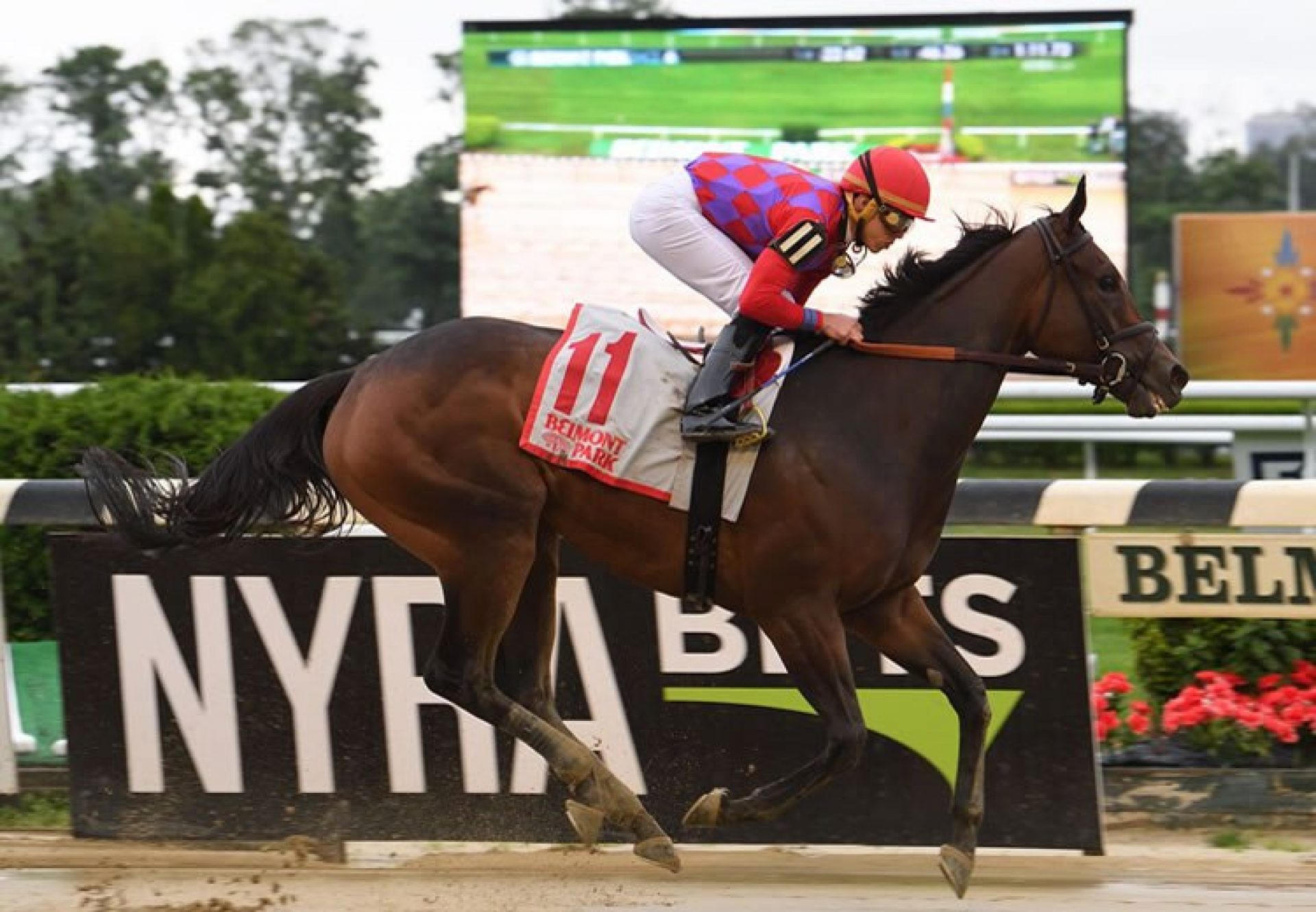 Kathryn the Wise (Uncle Mo) winning the Critical Eye Stakes at Belmont Park